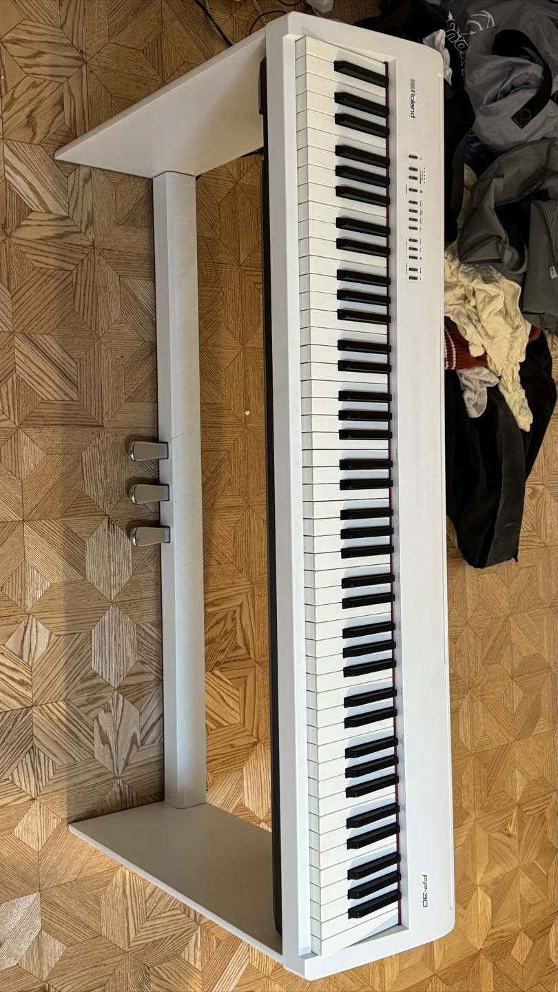 Roland FP-30 Digital Piano - White - photo 4