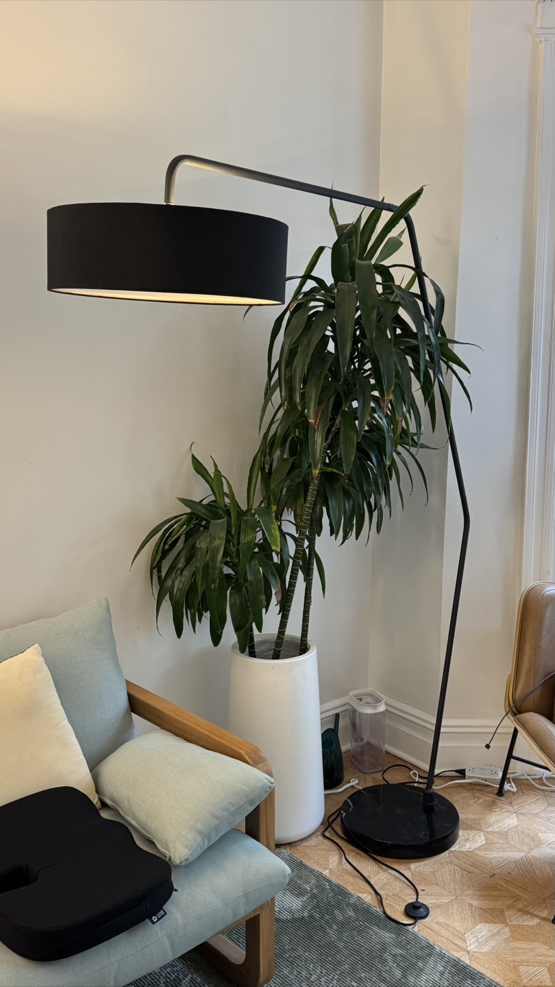 Article heron Modern Black Arc Floor Lamp with Marble Base