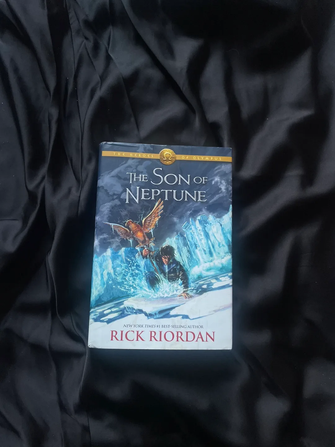 Collection of Young Adult Fantasy and Science Fiction Novels image indicator(6)