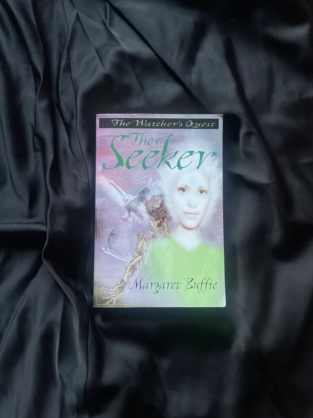 Collection of Young Adult Fantasy and Science Fiction Novels image indicator(5)