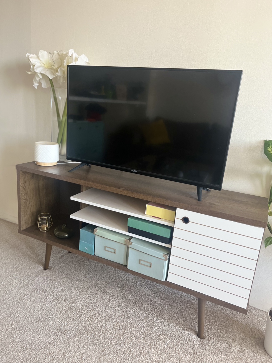 Modern TV Stand with Storage
