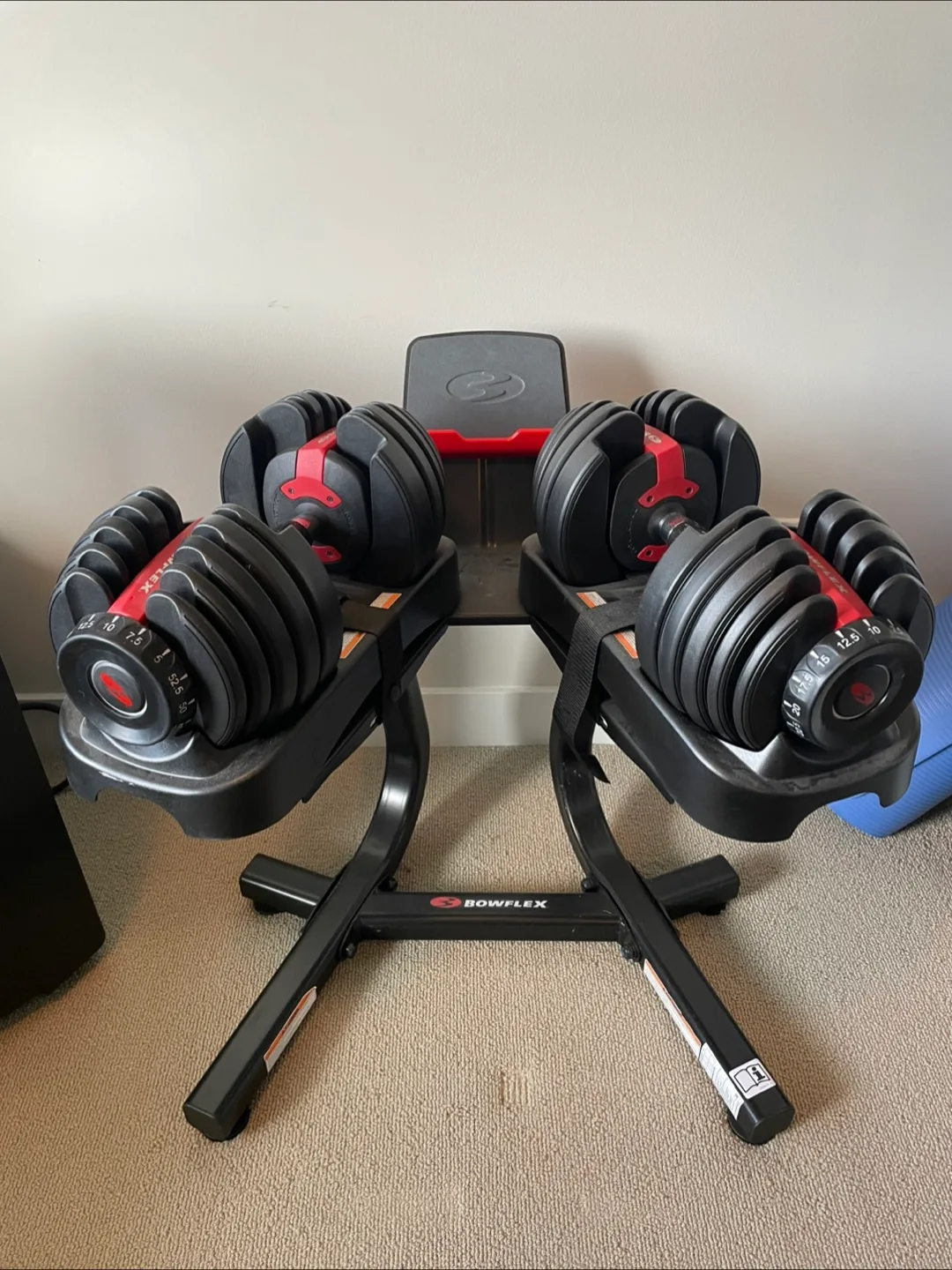 Bowflex SelectTech 552 Dumbbells with Stand and Adjustable Bench thumbnail