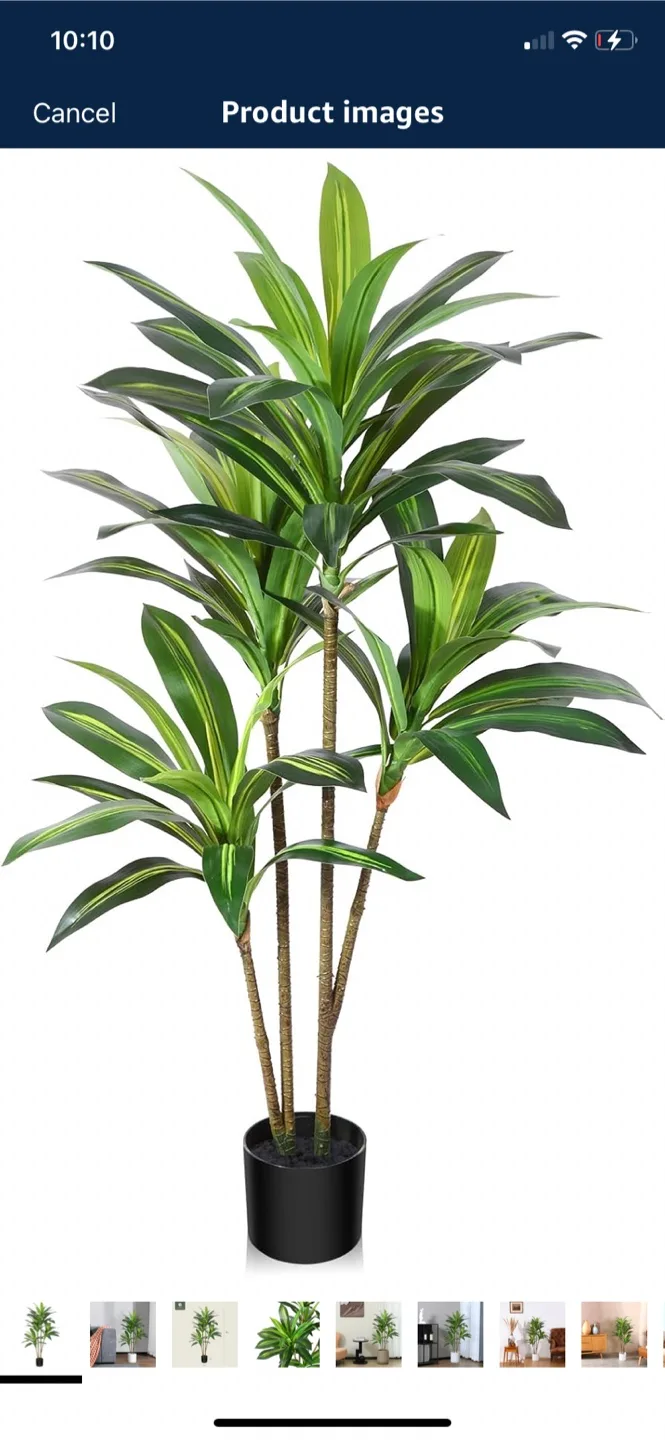 4ft Artificial Dracaena Tree - Indoor/Outdoor thumbnail