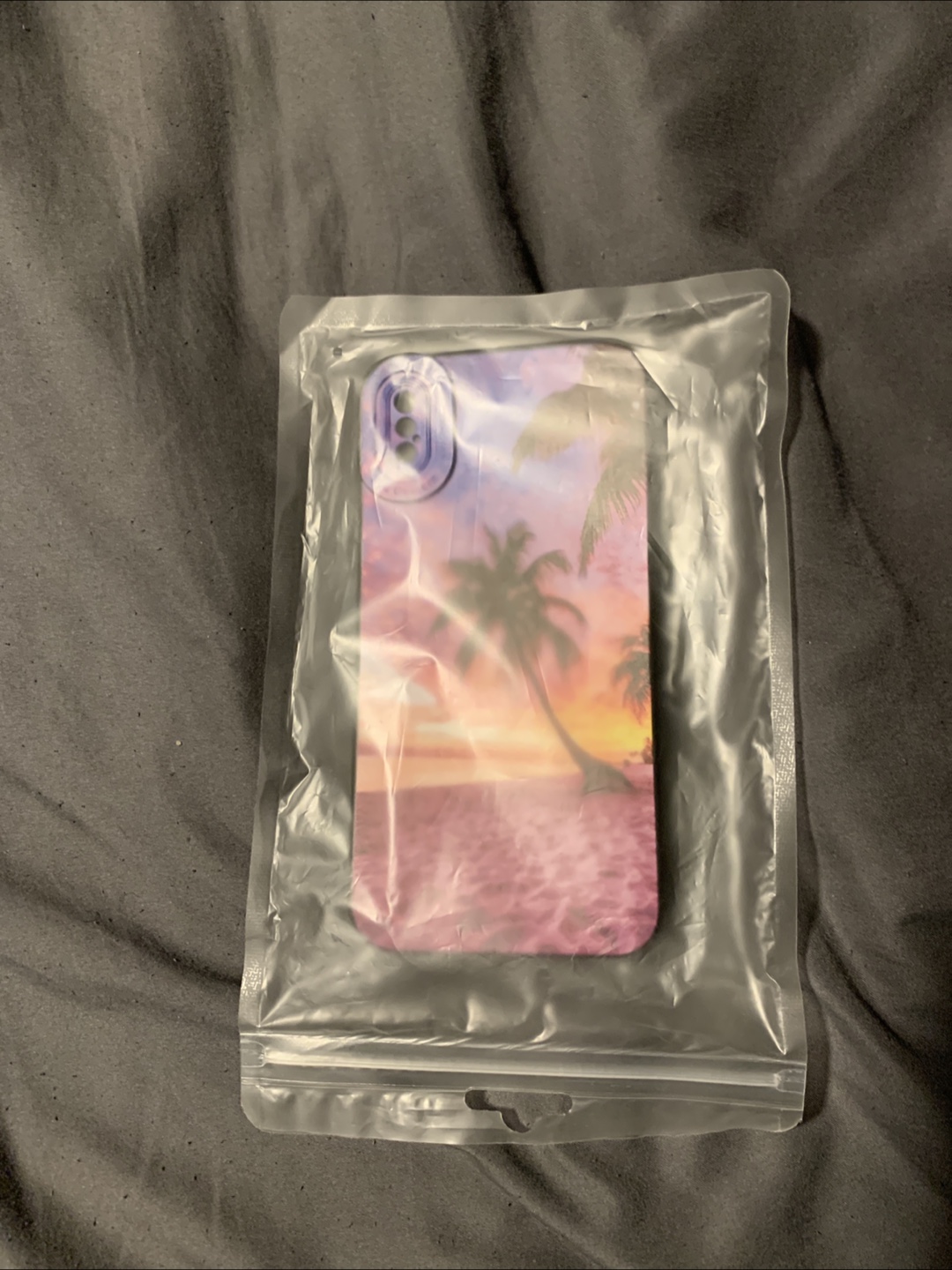 Two iPhone X/XS phone cases