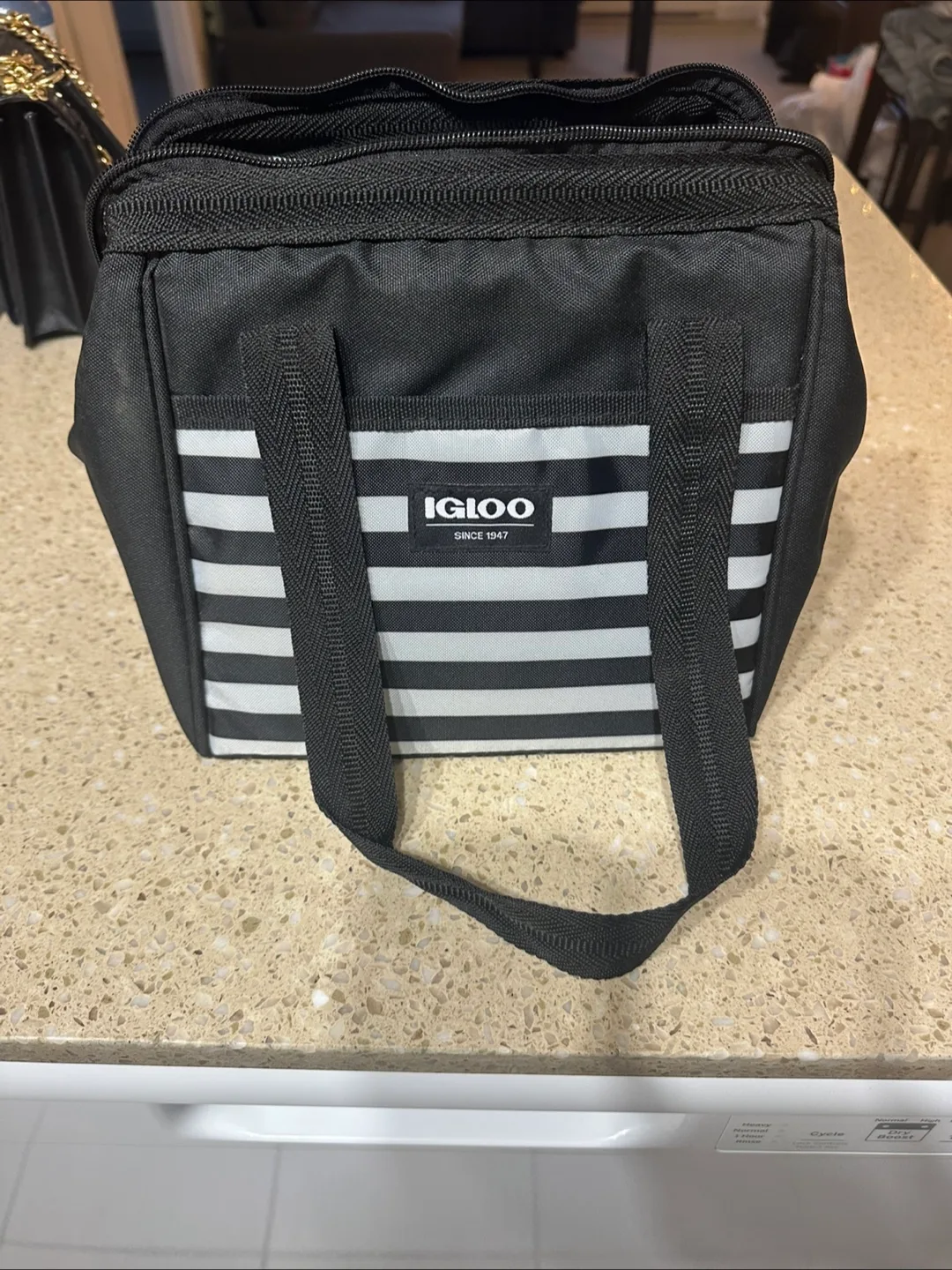 Igloo Cooler/ Lunch Bag thumbnail