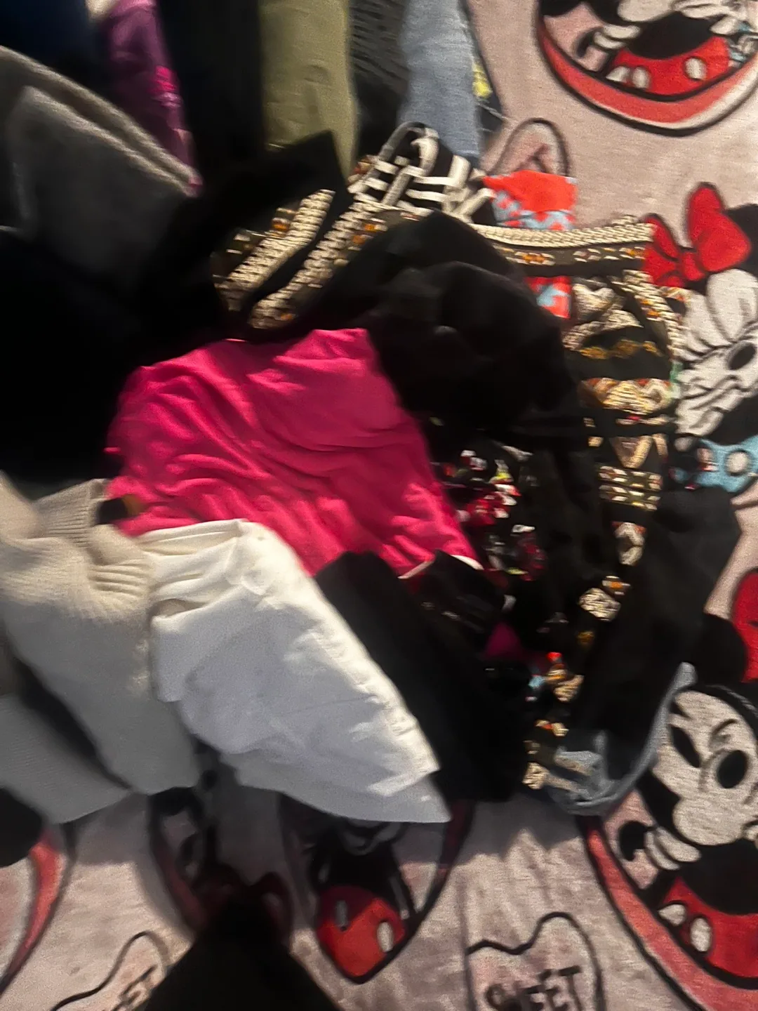 Women's Clothing Bundle - Tops, Pants & More! image indicator(3)