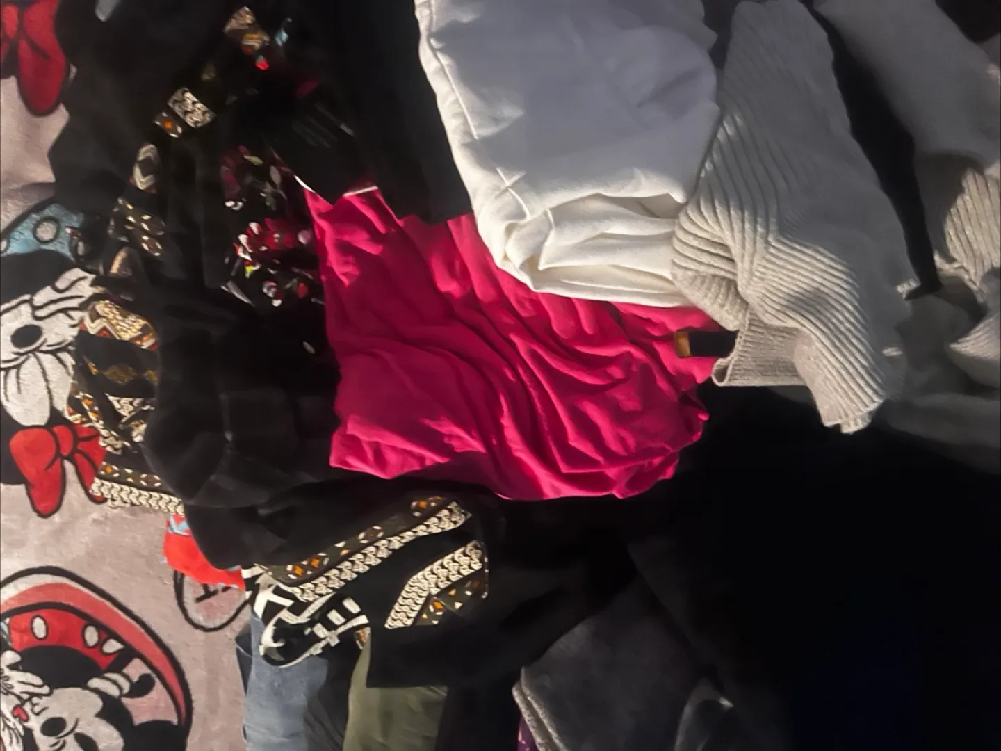 Women's Clothing Bundle - Tops, Pants & More! image indicator(2)