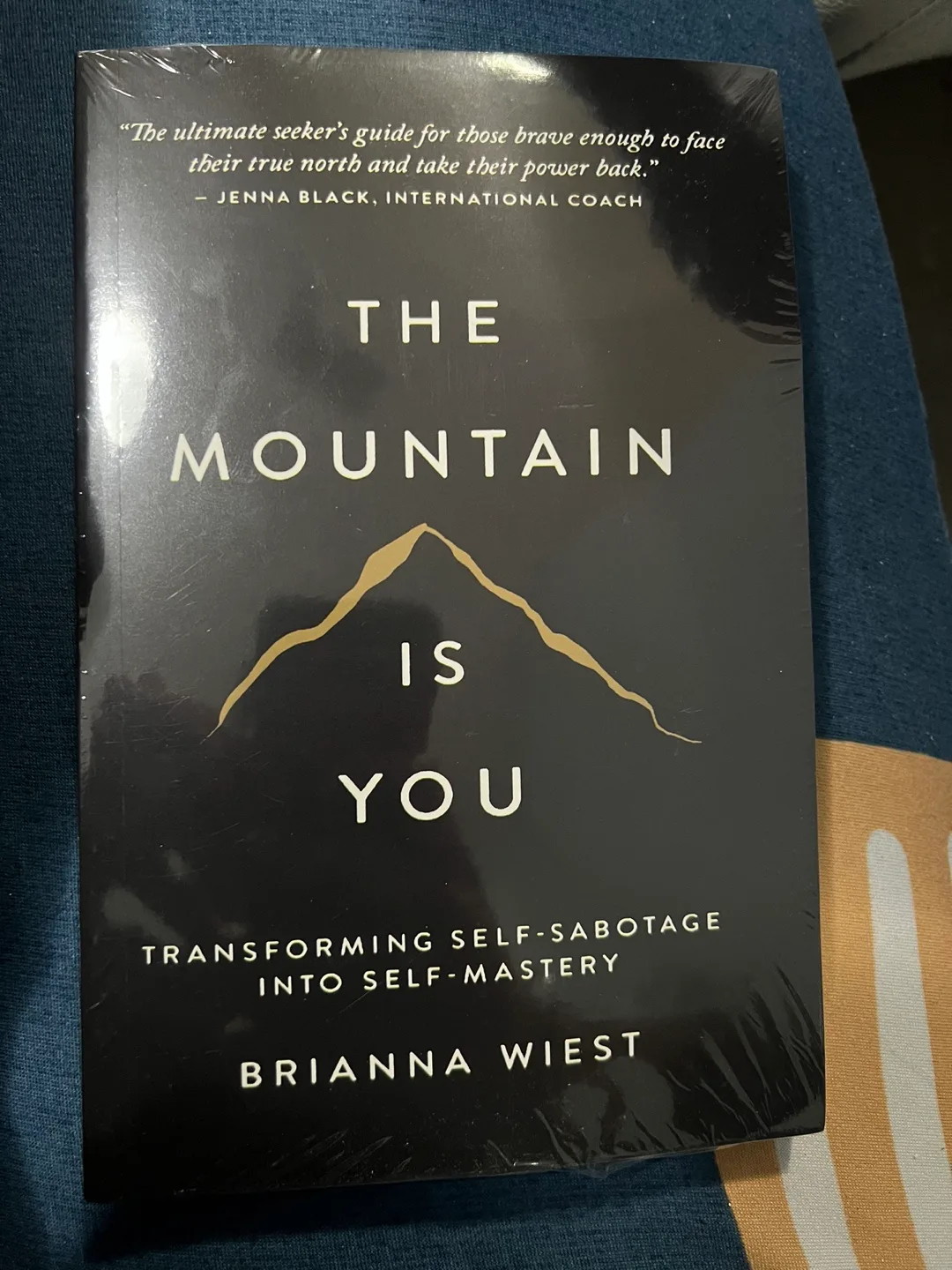 The Mountain Is You by Brianna Wiest thumbnail