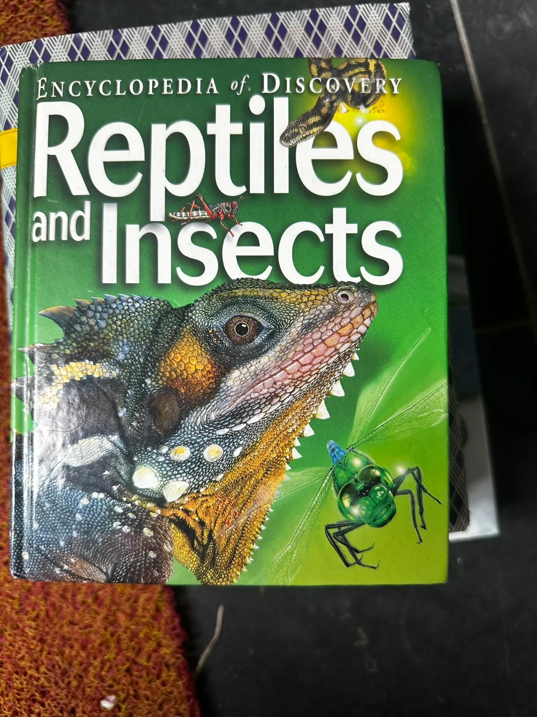 Encyclopedia of Discovery: Reptiles and Insects thumbnail