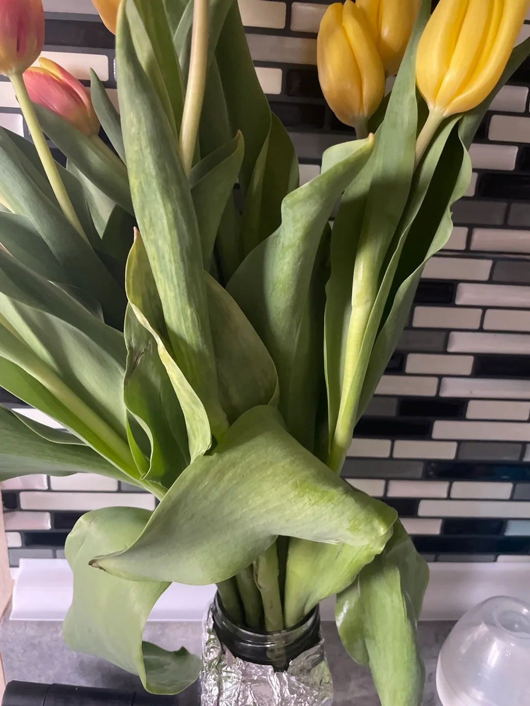 Beautiful Tulip Bouquet#freecycle thumbnail