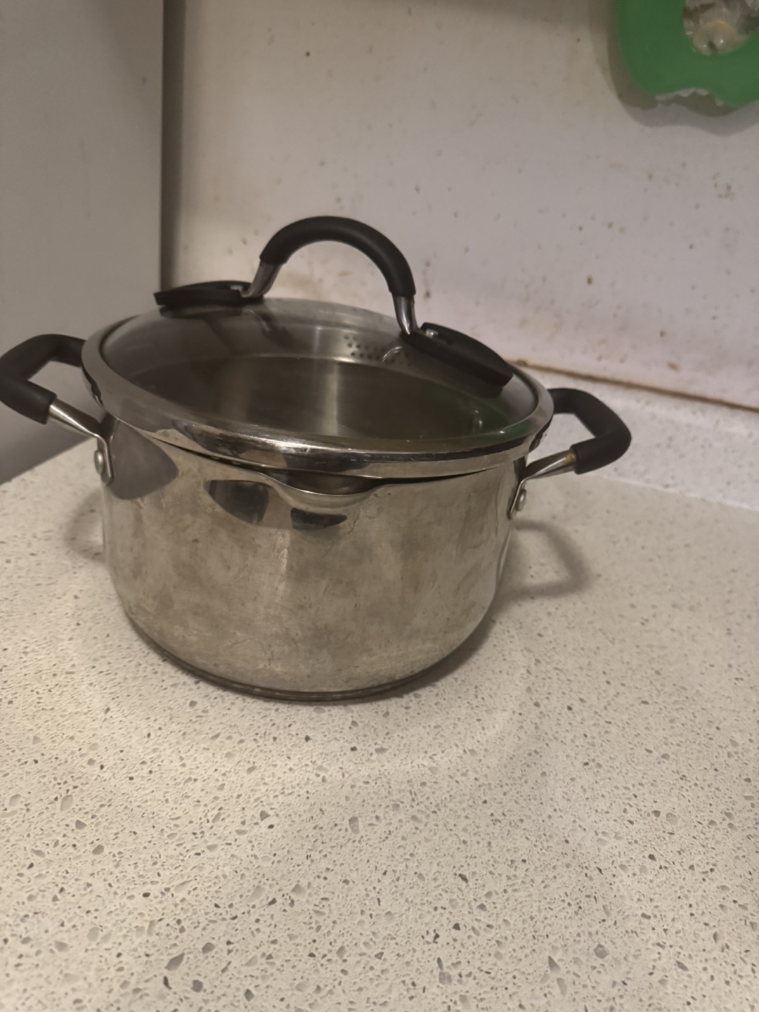 Stainless Steel Stock Pot with Glass Lid
