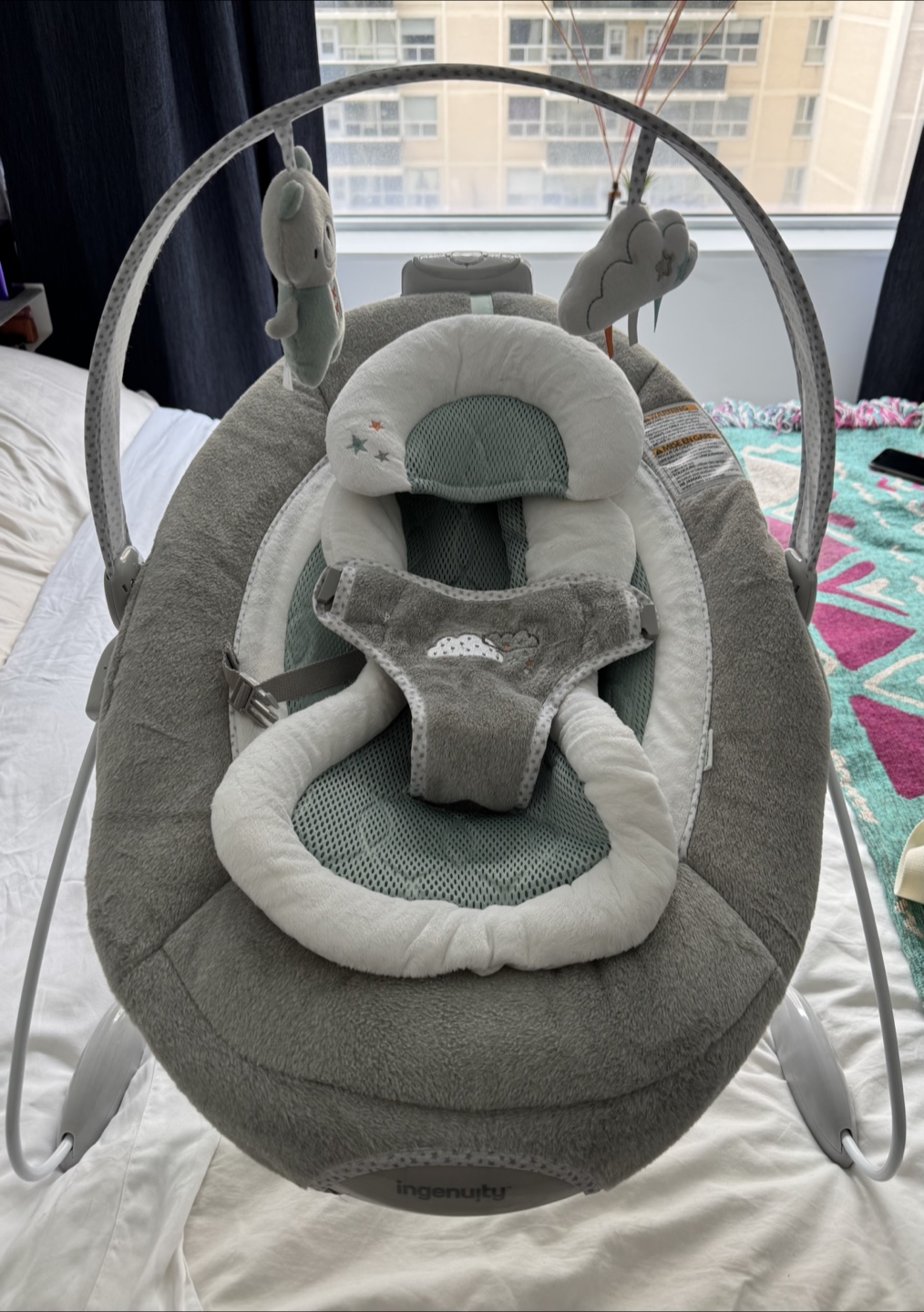 #freecycle Ingenuity Baby Swing