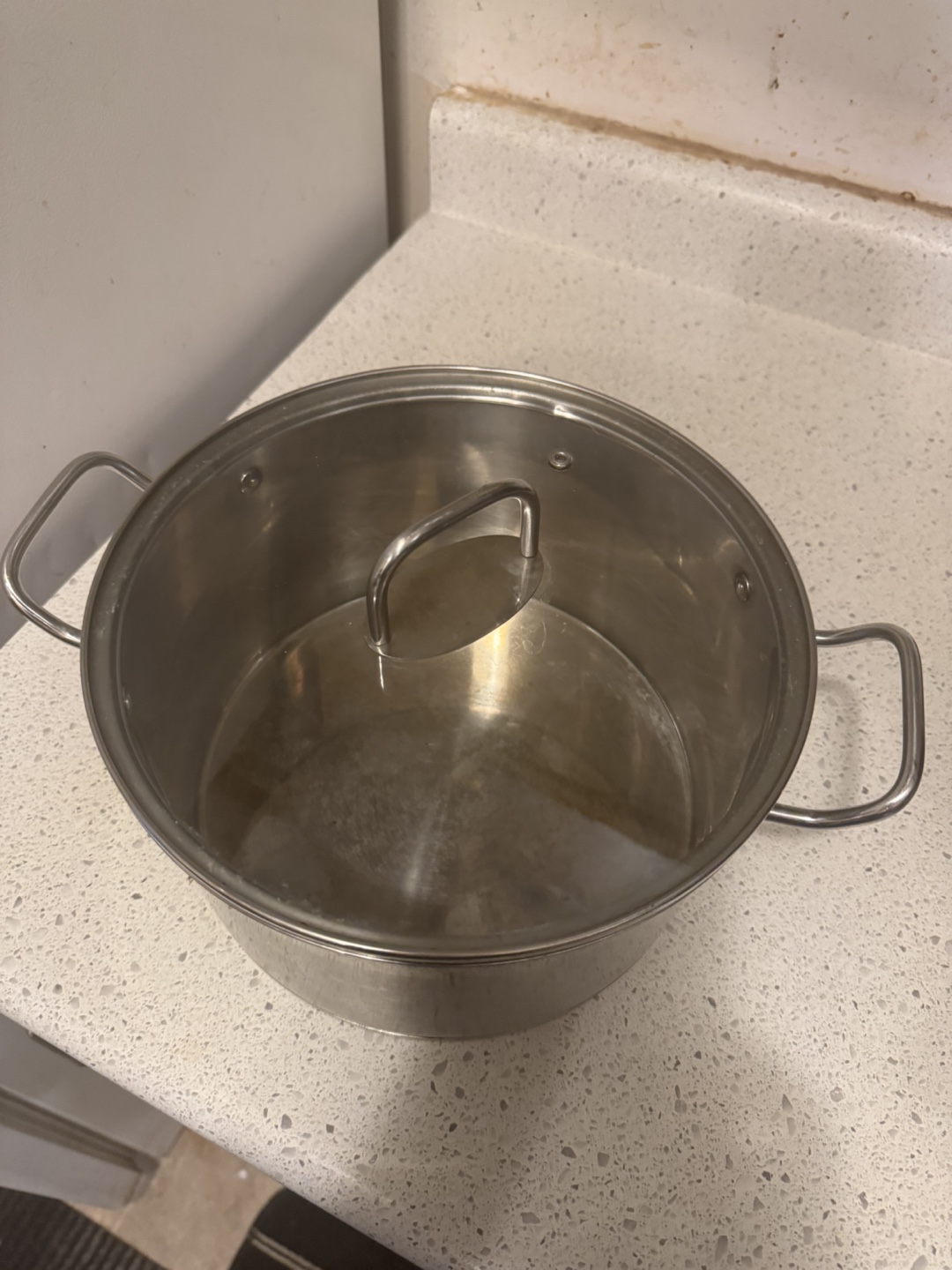 Stainless Steel Stock Pot with Lid - photo 2
