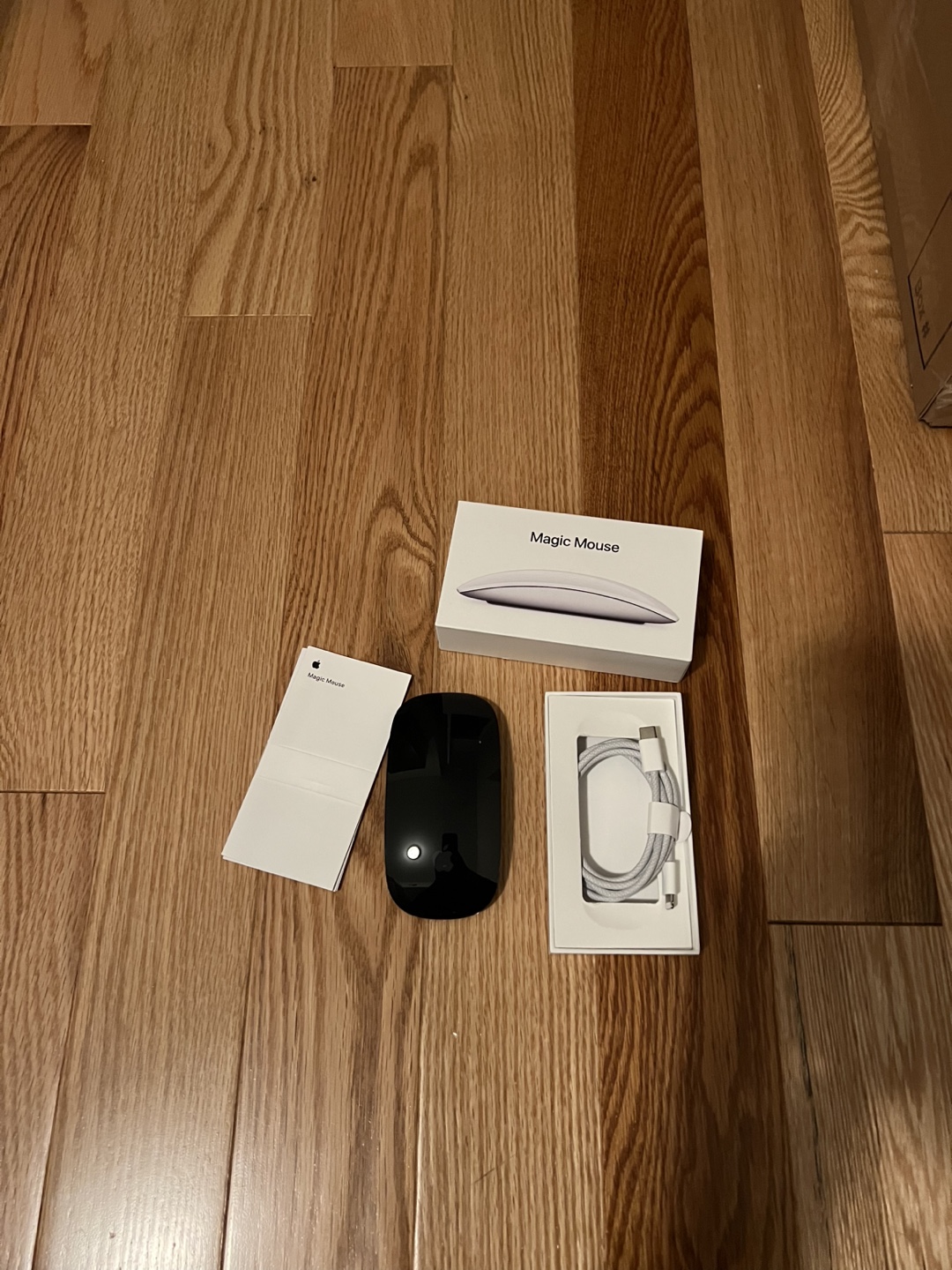 Apple Magic Mouse - Black