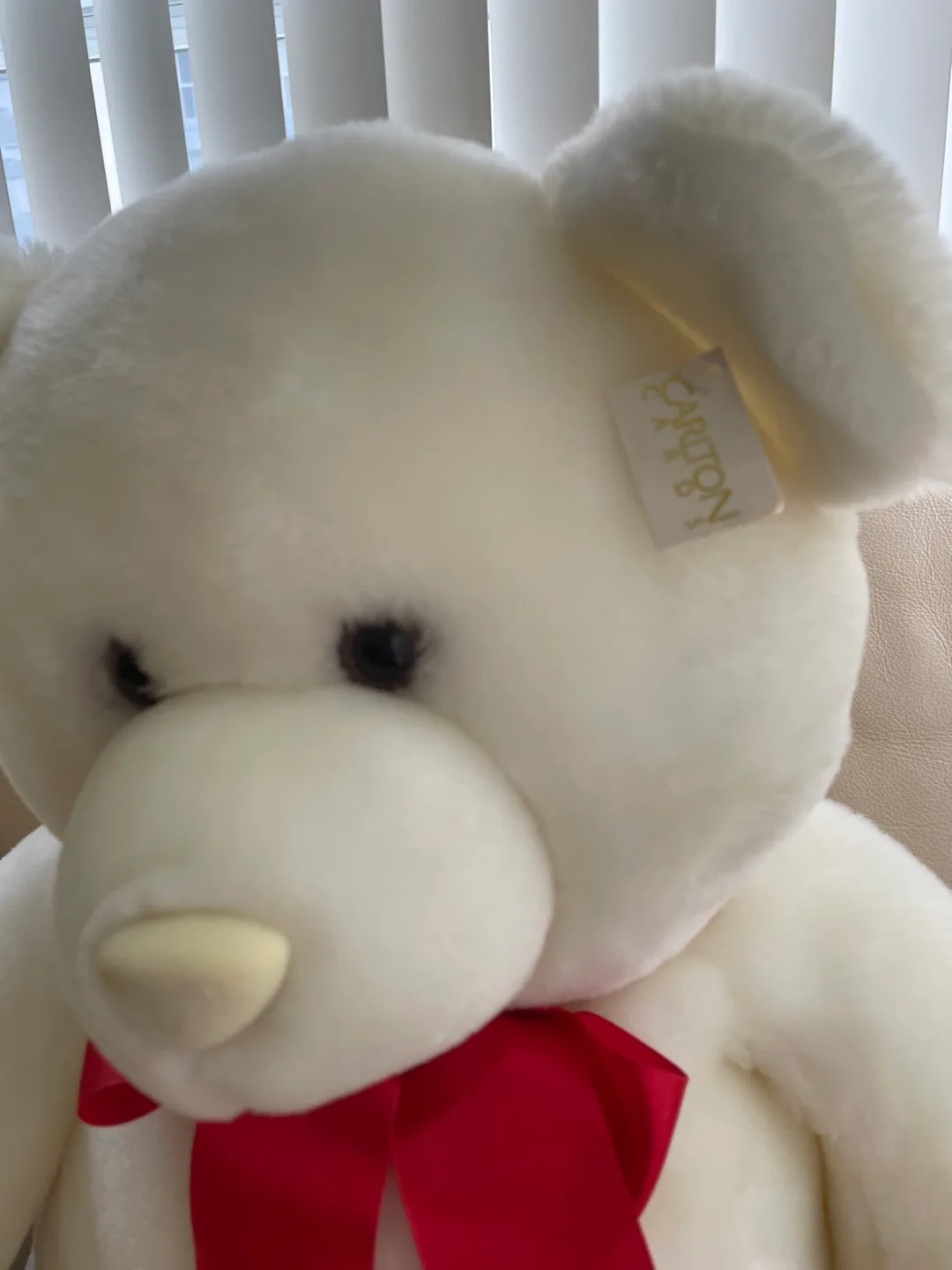 Adorable Large White Teddy Bear image indicator(3)