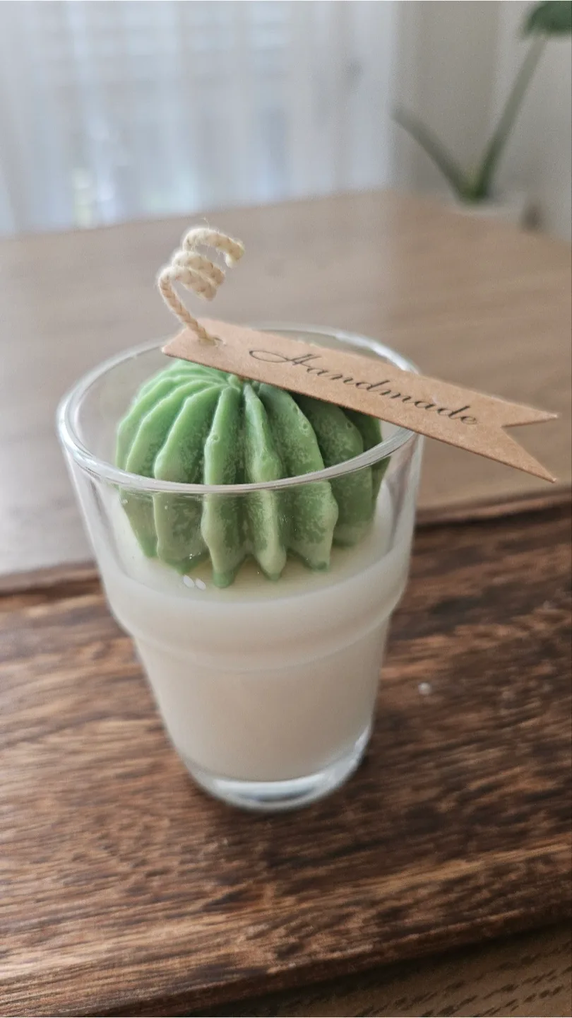 Handmade Soy Candles –Gift-Ready & Unique! cactus image indicator(5)