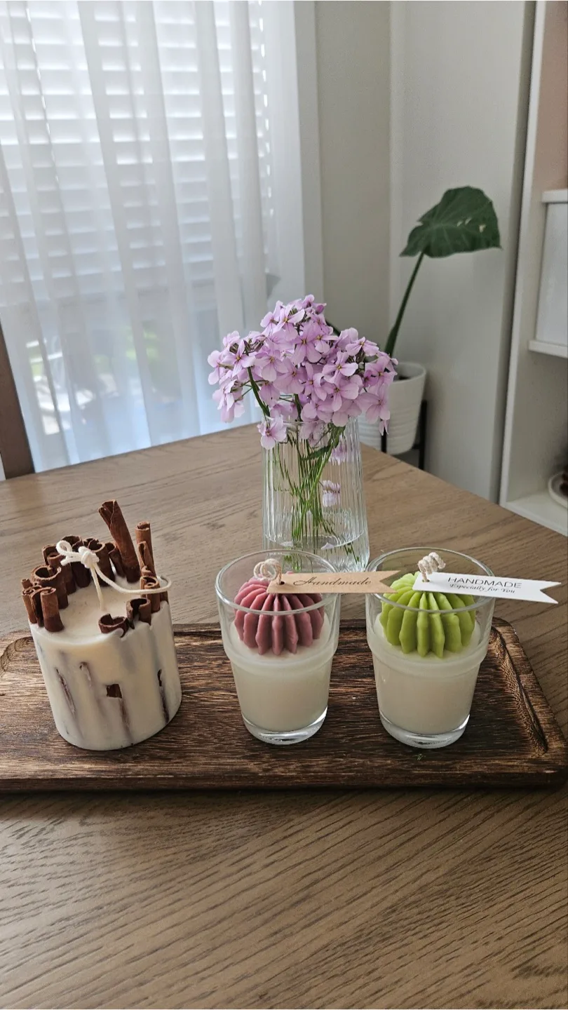 Handmade Soy Candles –Gift-Ready & Unique! cactus image indicator(6)