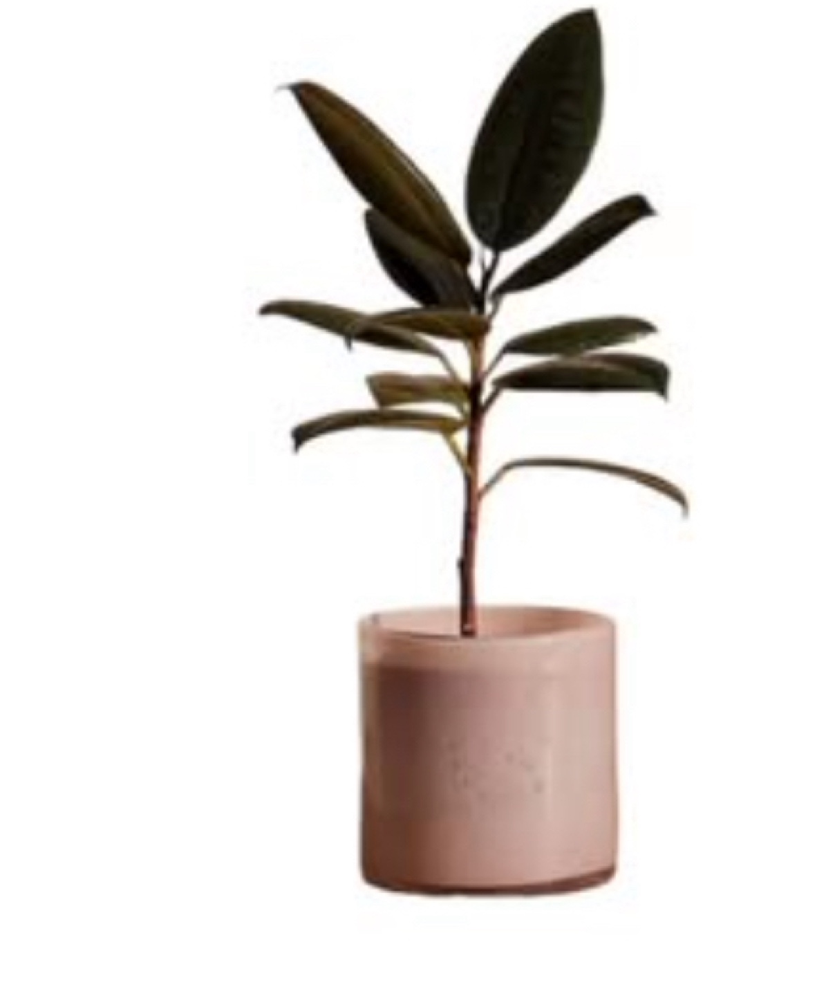 🥕Simons Maison Speckled Tinted Glass Planter 4.5 in - photo 2