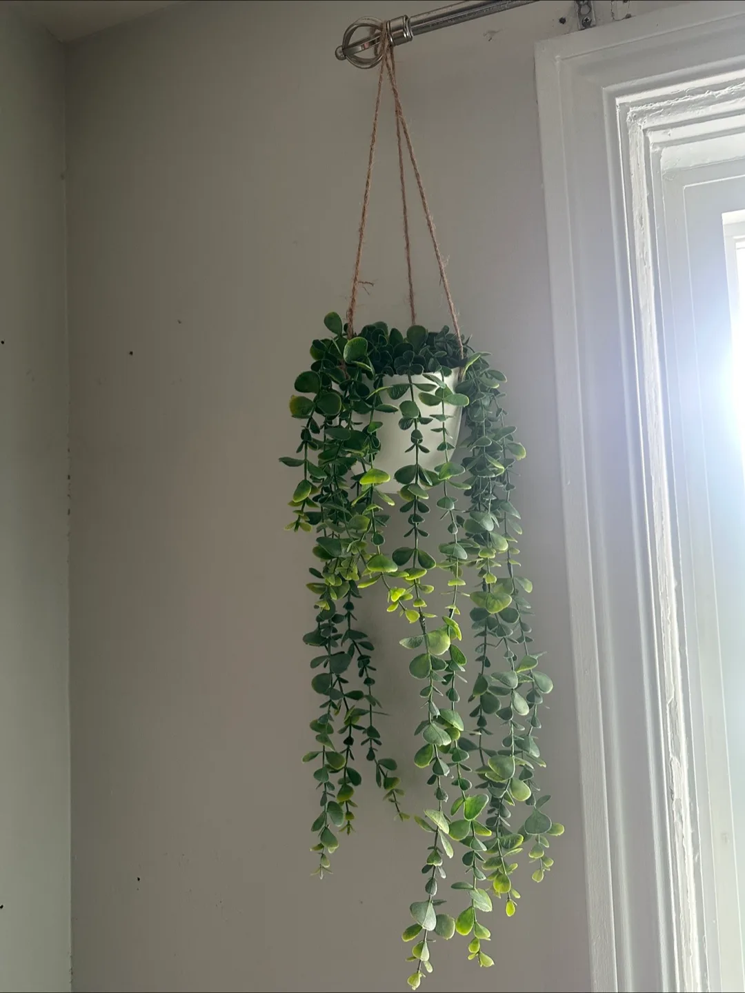 Hanging Artificial Plant thumbnail