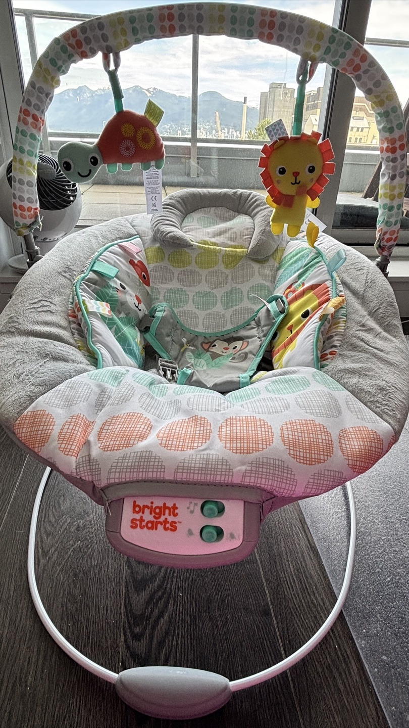 Bright Starts Jungle Friends Baby Bouncer