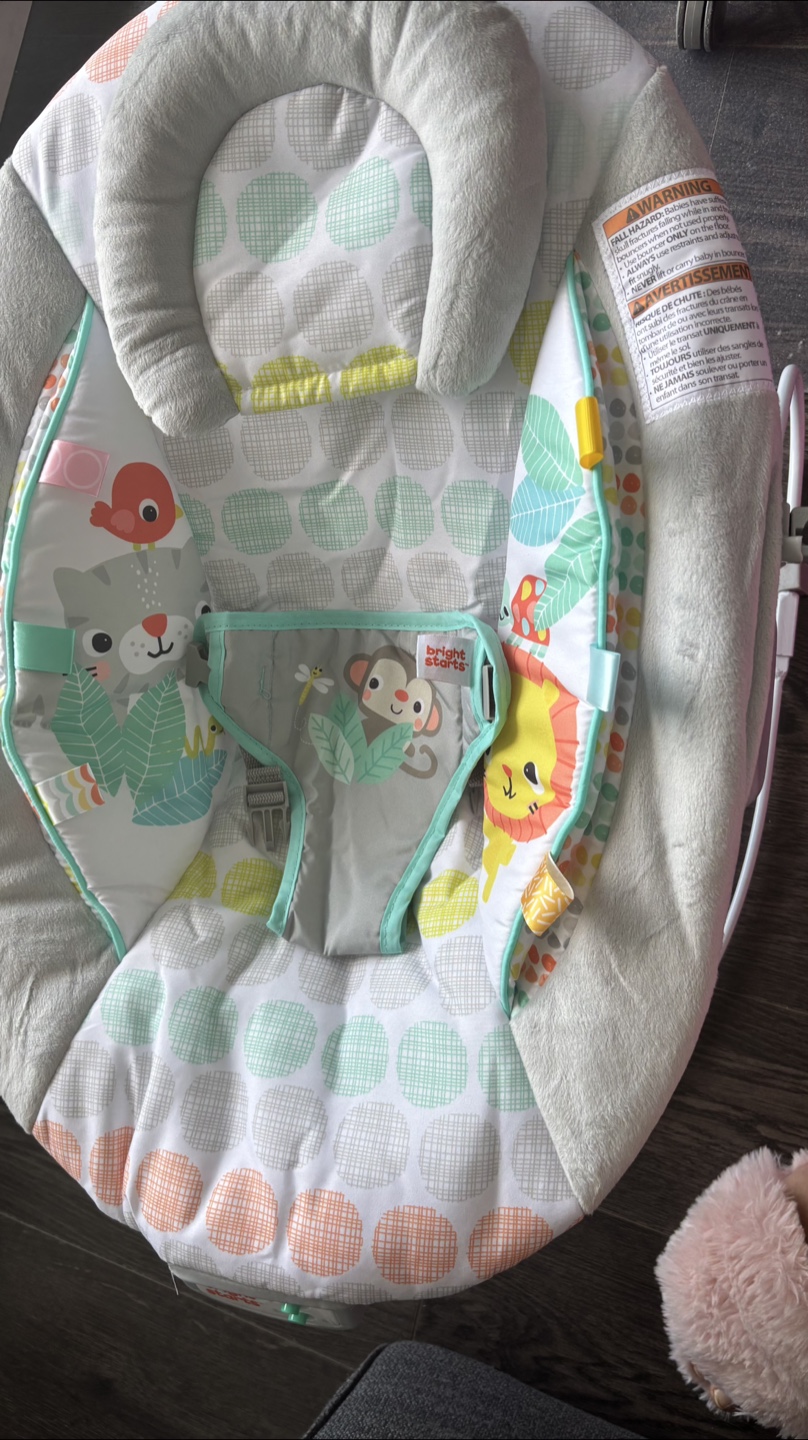 Bright Starts Jungle Friends Baby Bouncer - photo 3