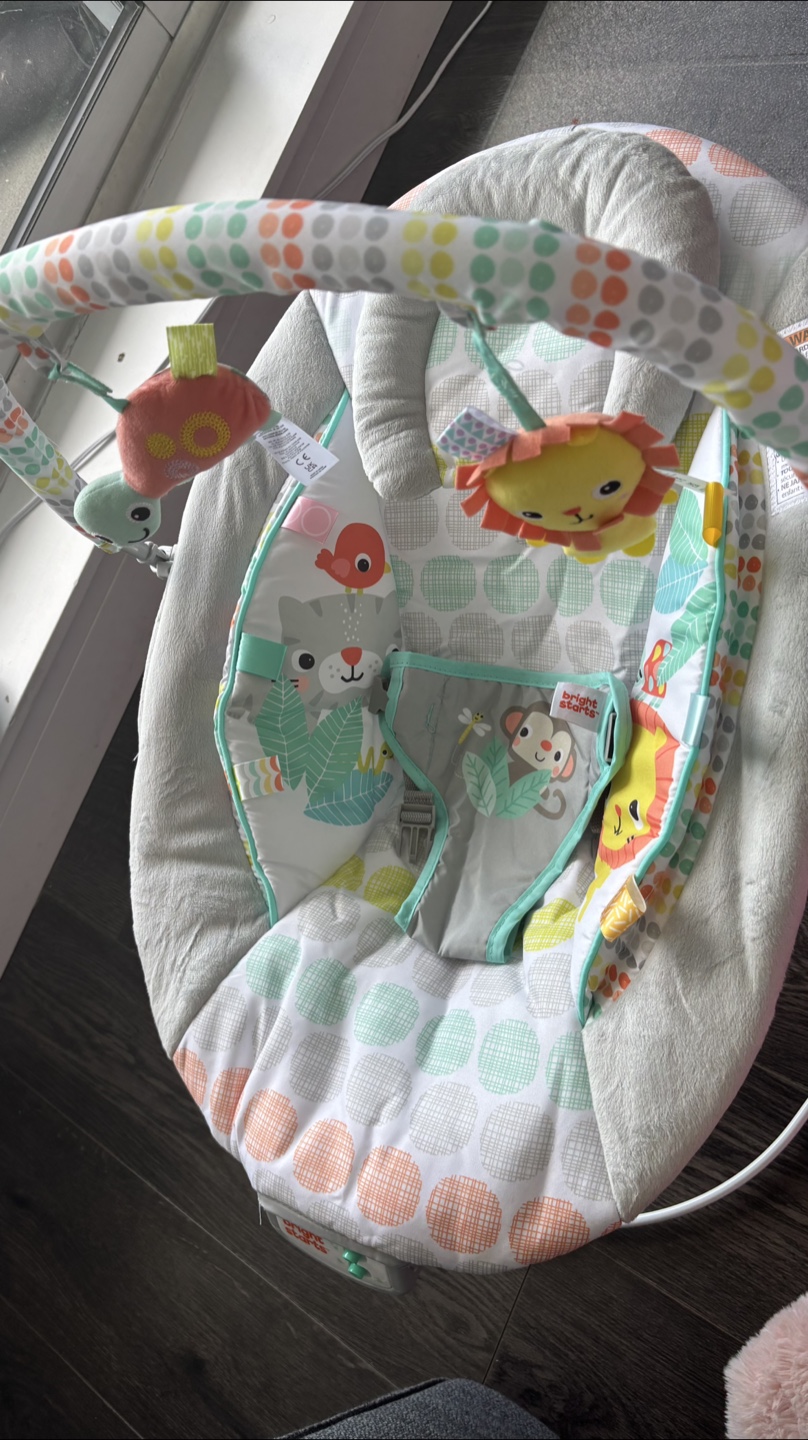 Bright Starts Jungle Friends Baby Bouncer - photo 2