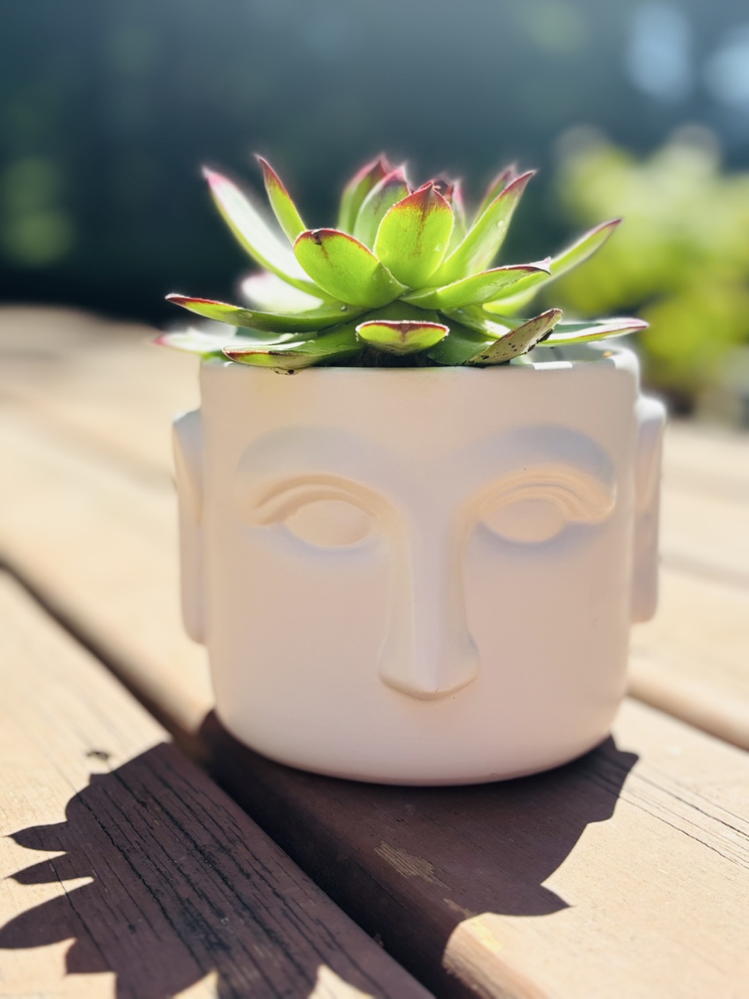 Succulent Planter - Face Pot - photo 2