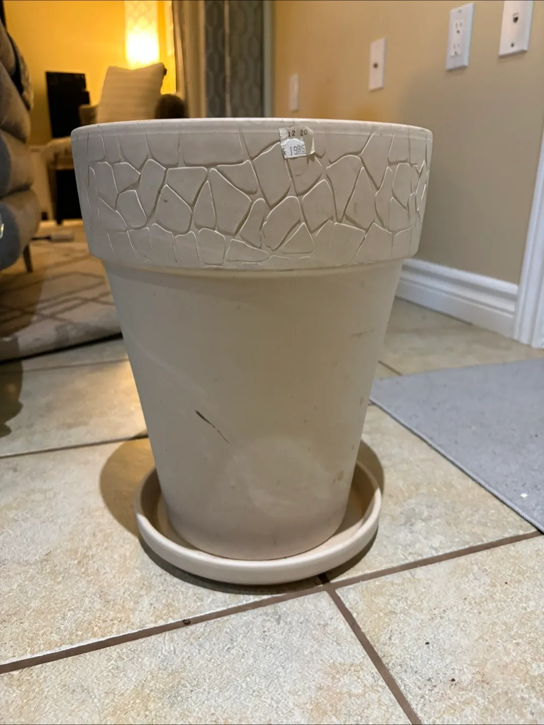 Large off-white planter with saucer image indicator(3)
