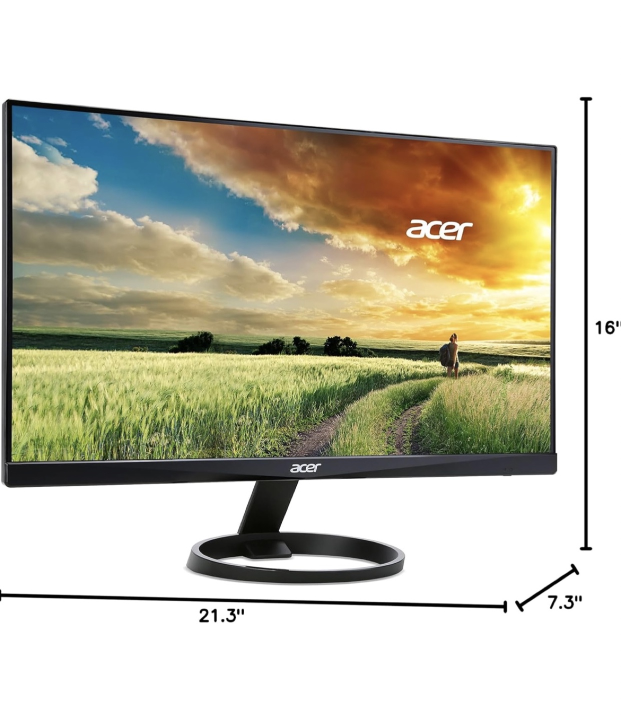 Acer monitor (24-inch)
