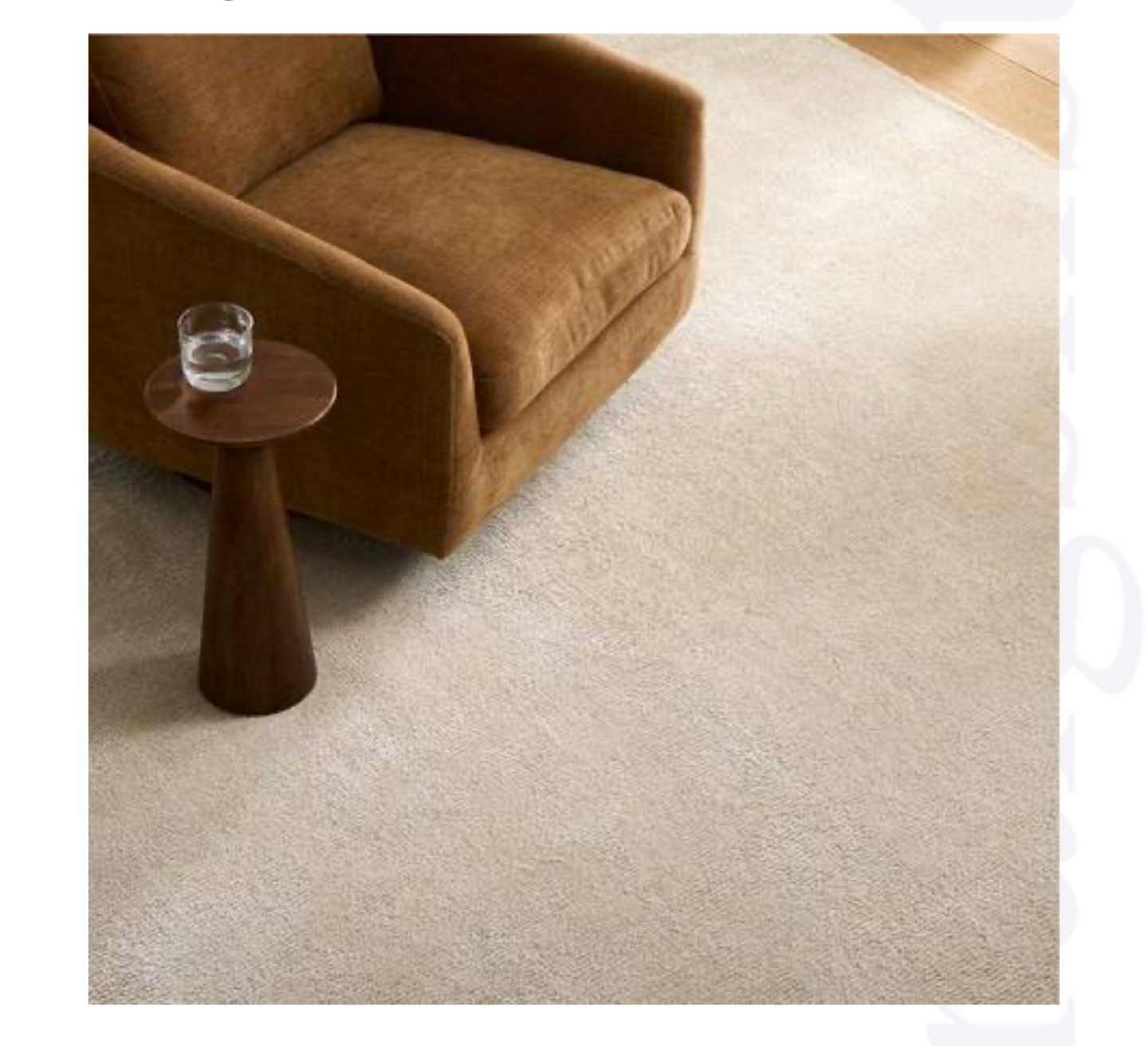 LIKE NEW West Elm Glimmer Rug