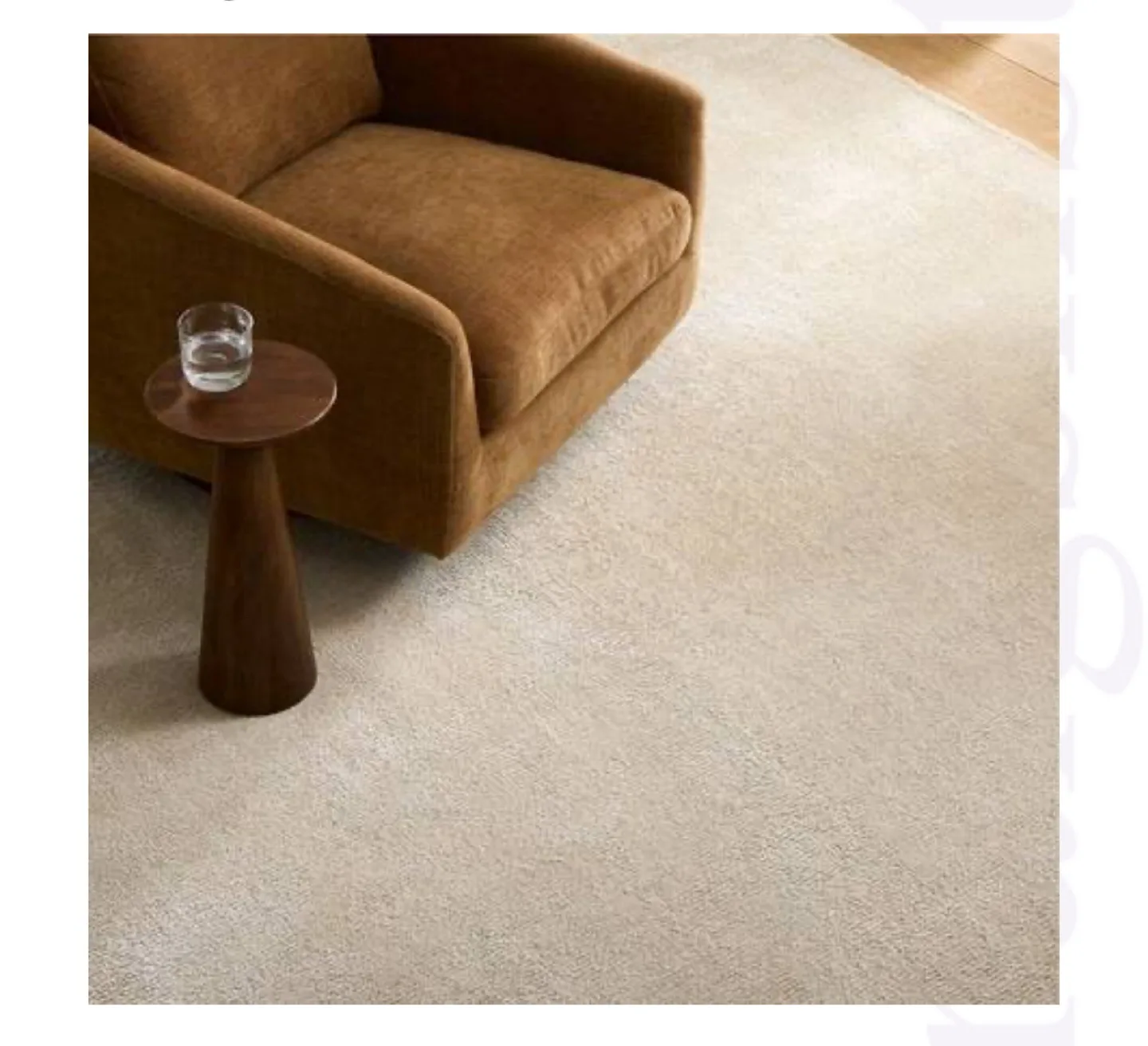 LIKE NEW West Elm Glimmer Rug thumbnail