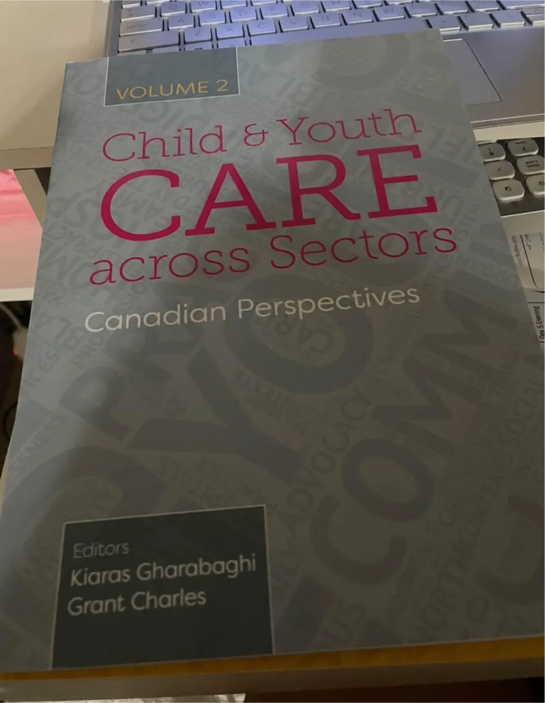 Child & Youth Care Canadian Perspectives (Volumes 1 & 2) image indicator(3)