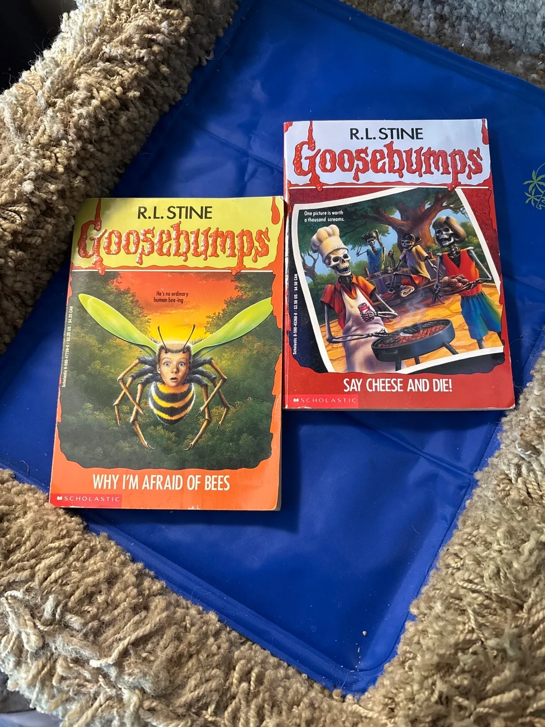 Free Goosebumps Books  #freecycle thumbnail