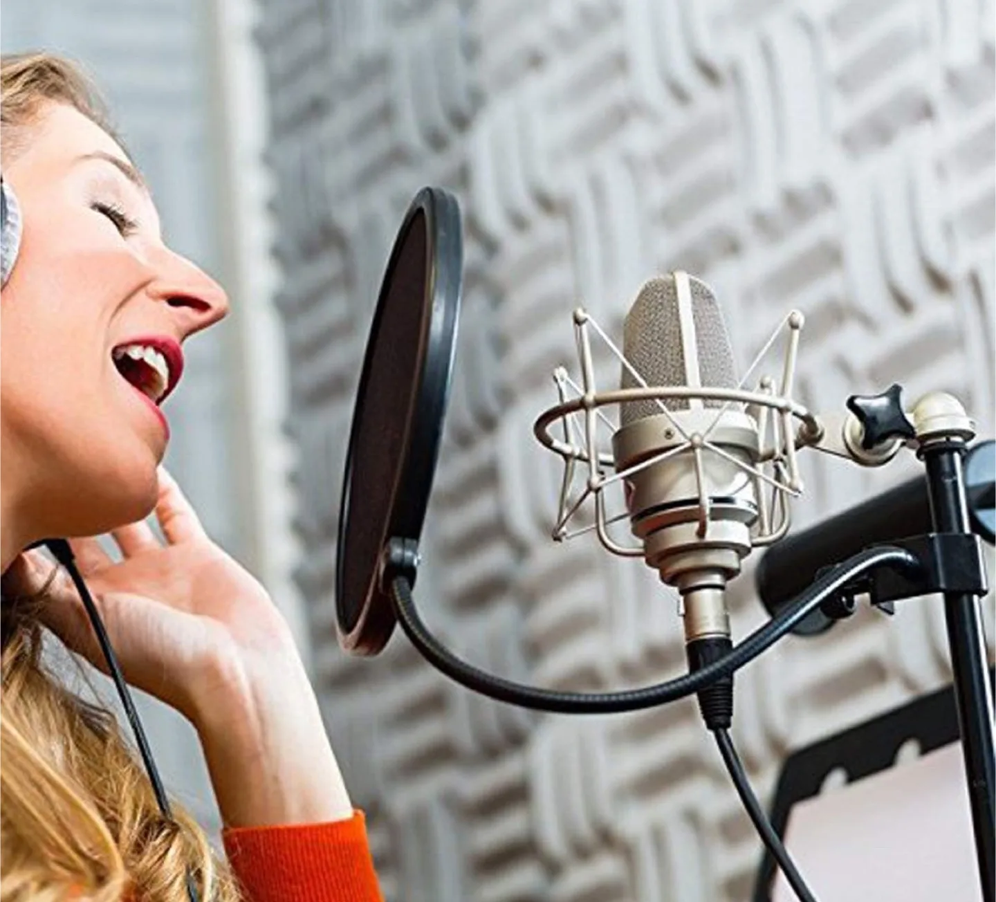 Microphone Pop Filter image indicator(6)