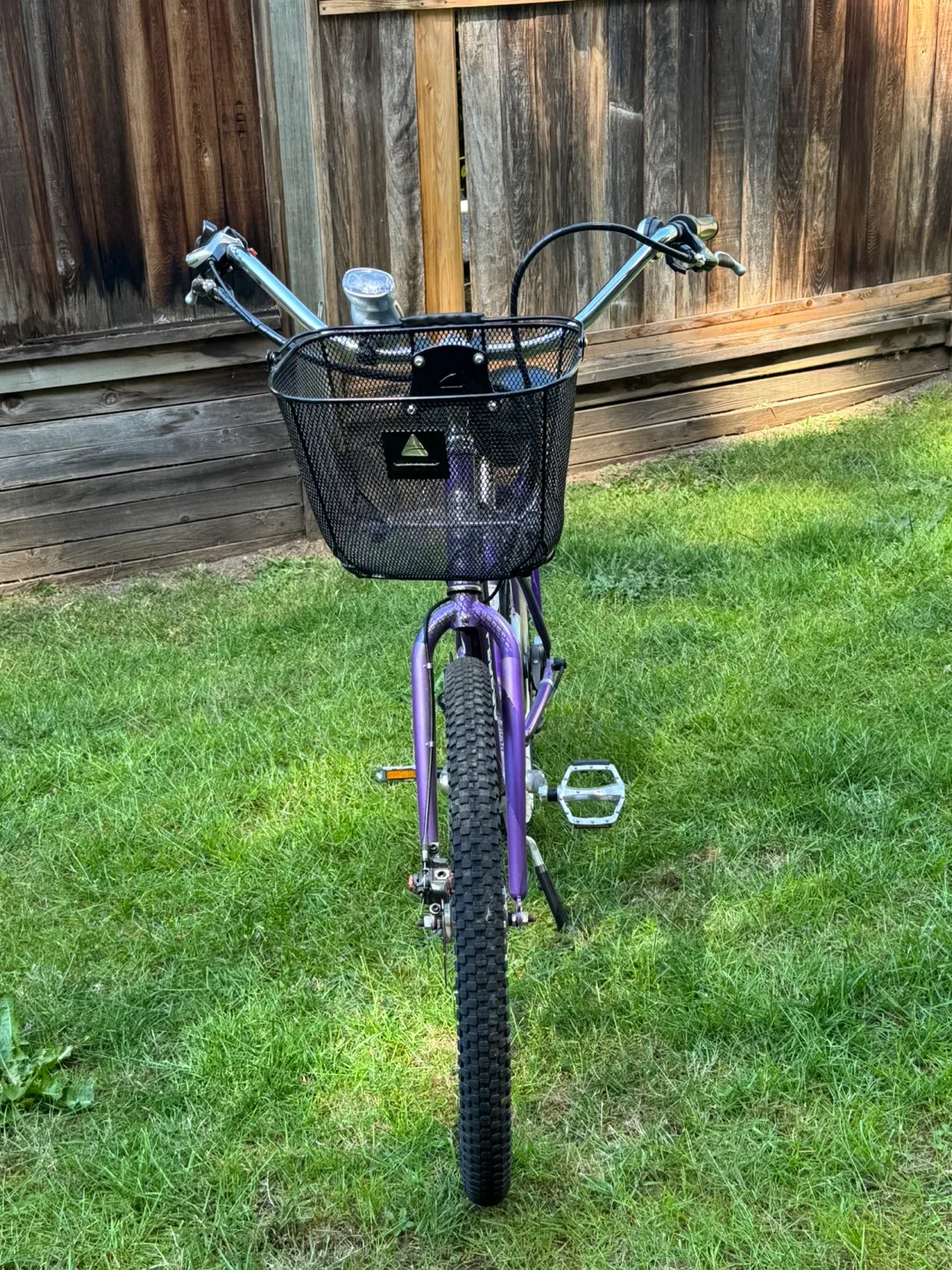 Purple Pedego Electric Bicycle image indicator(6)