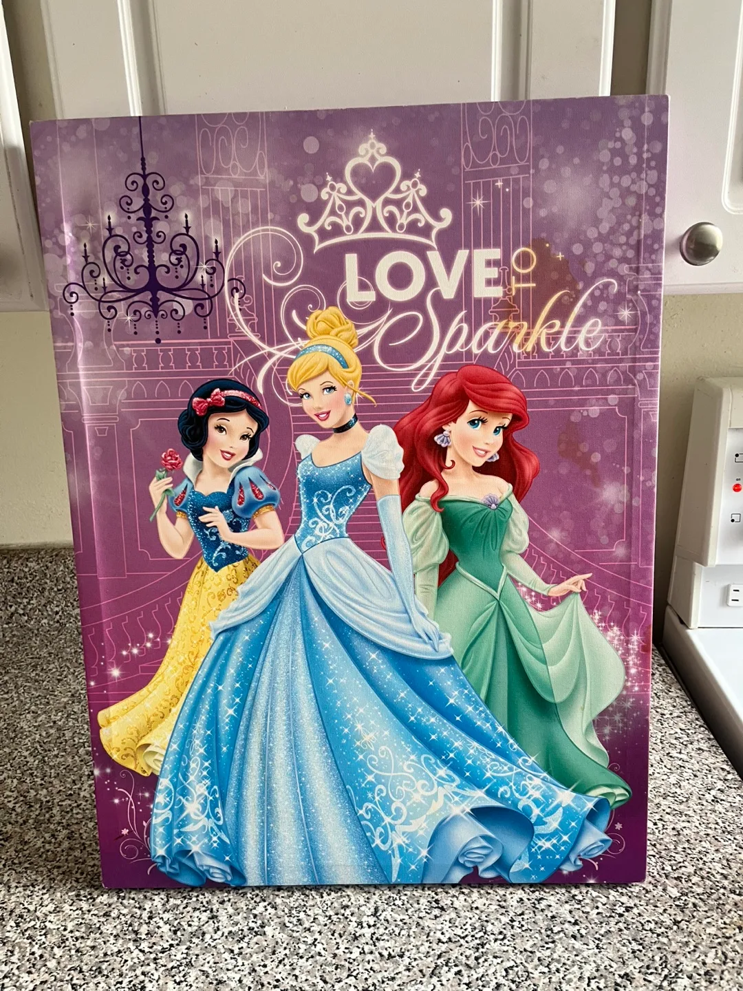 Disney Princesses Canvas Wall Art thumbnail