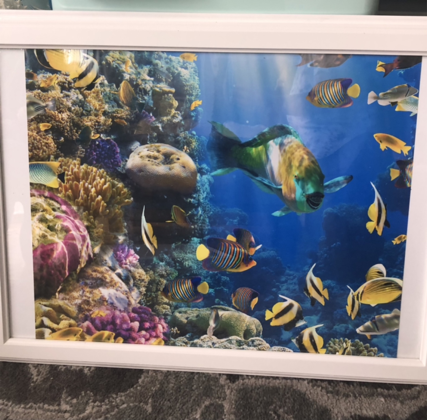 Pair of Framed Ocean Life Prints - photo 3
