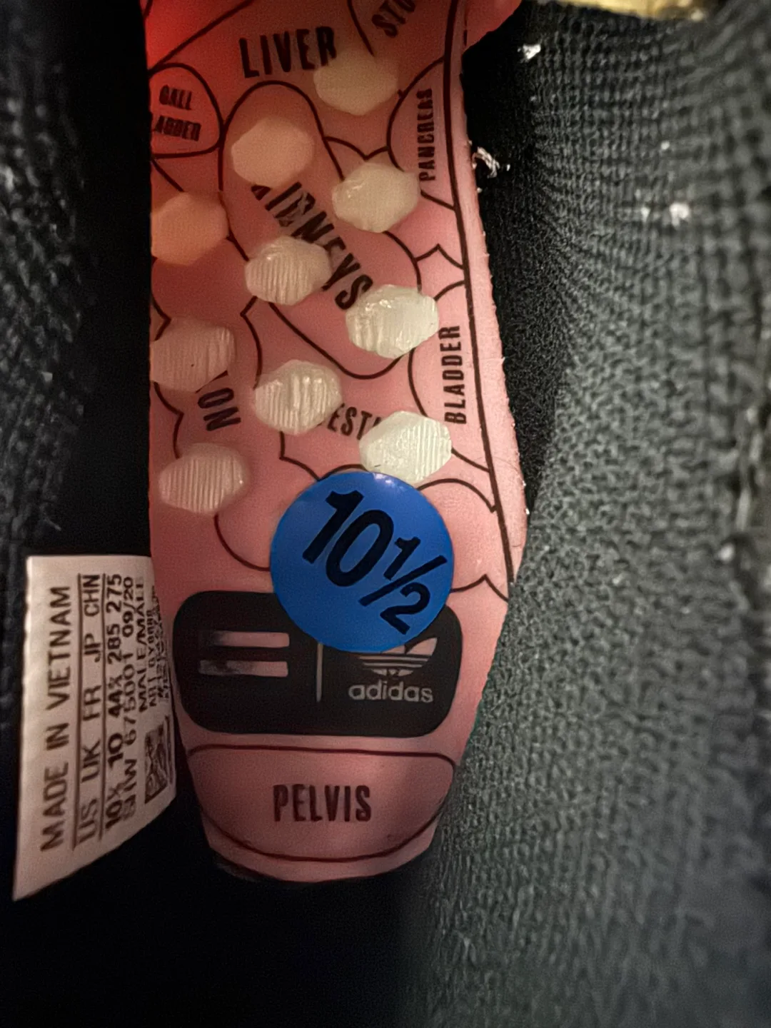 Pharrell x NMD Human Race Pink (Brandnew) 10.5US image indicator(6)