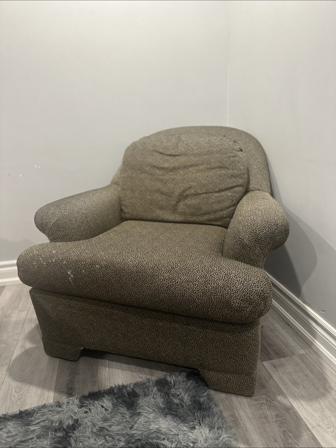 Armchair - Beige and Brown Dalmatian Print