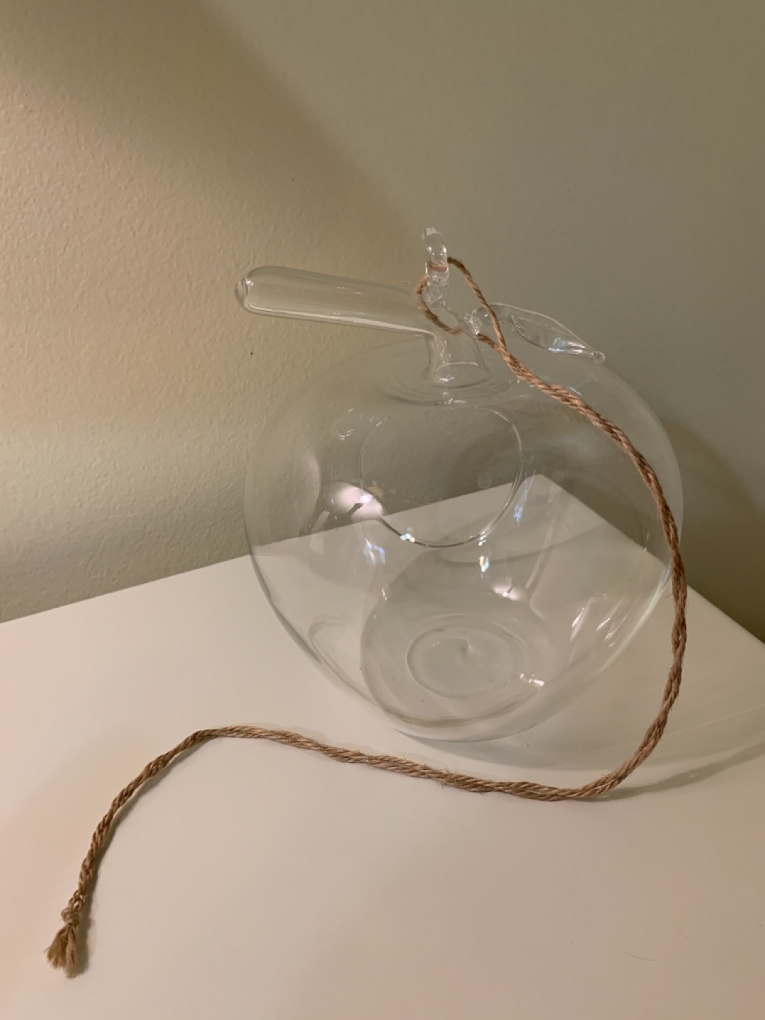 Glass Apple Terrarium - photo 3