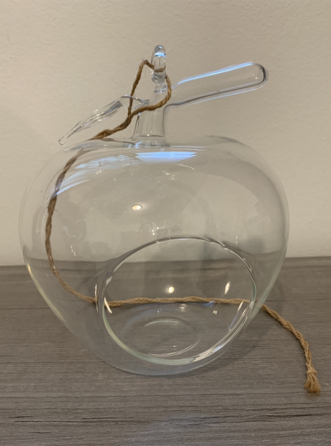 Glass Apple Terrarium