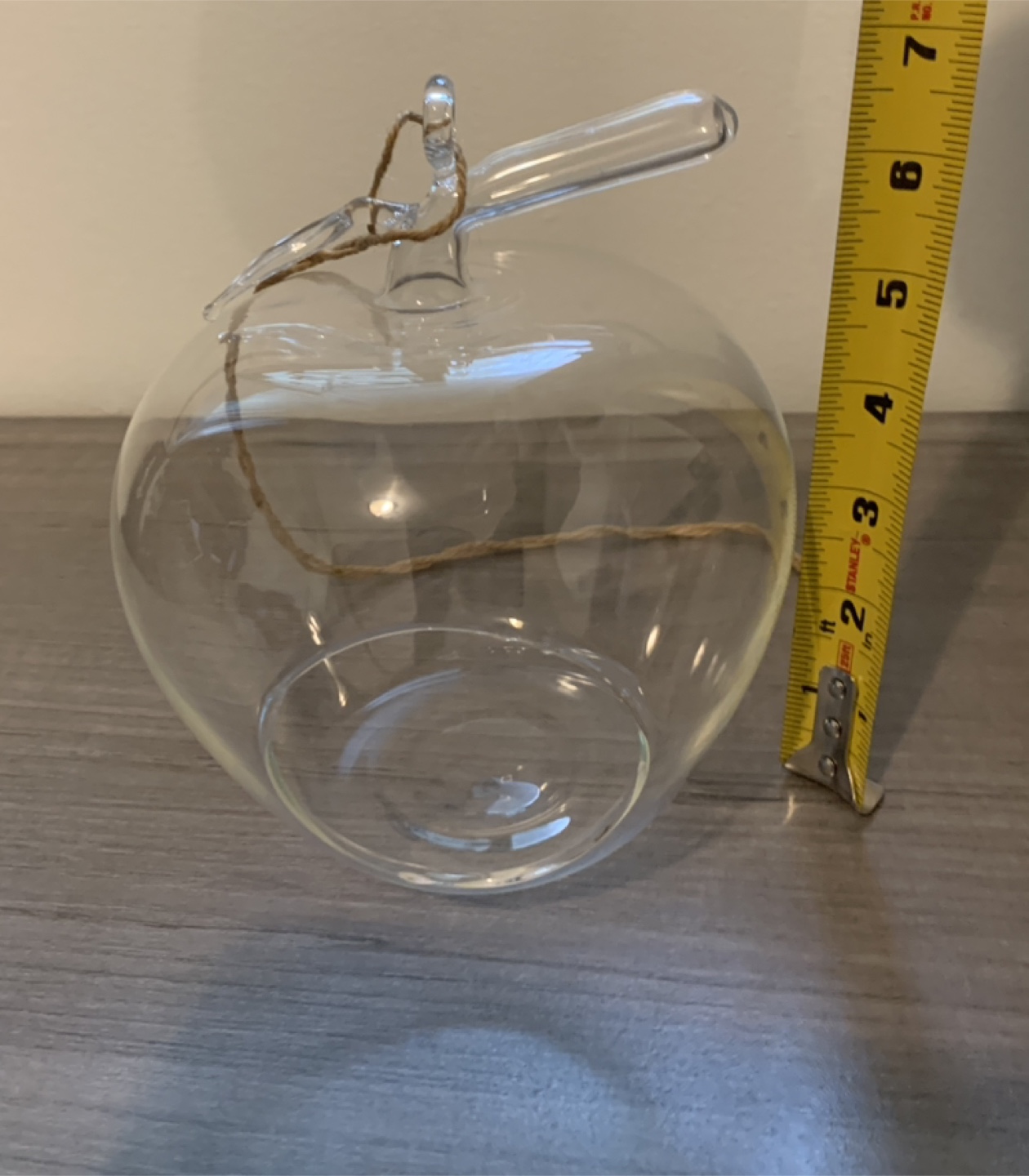 Glass Apple Terrarium - photo 5