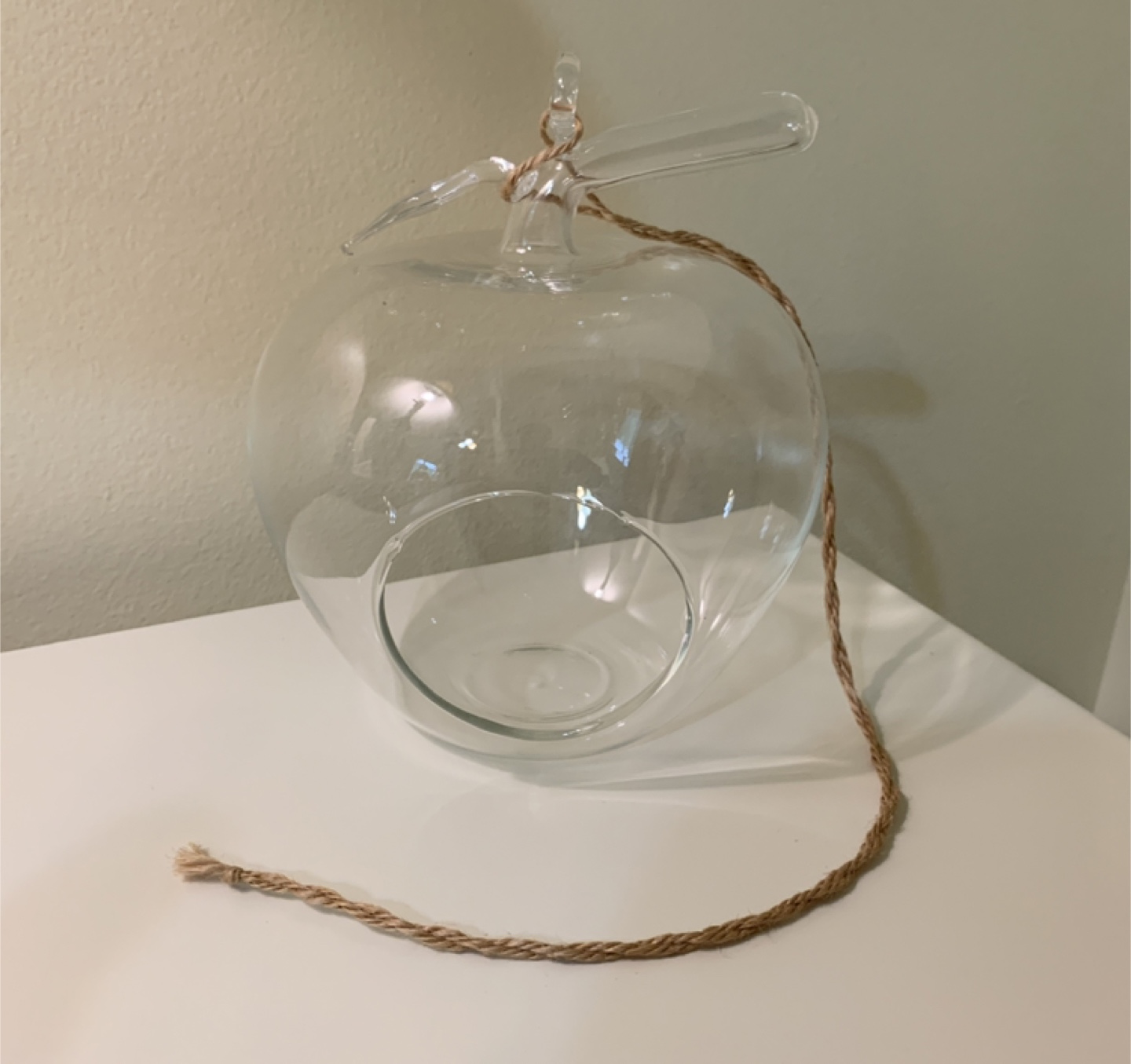 Glass Apple Terrarium - photo 4
