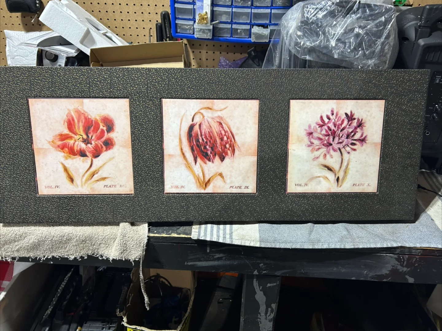 Botanical Floral Triptych Wall Art thumbnail