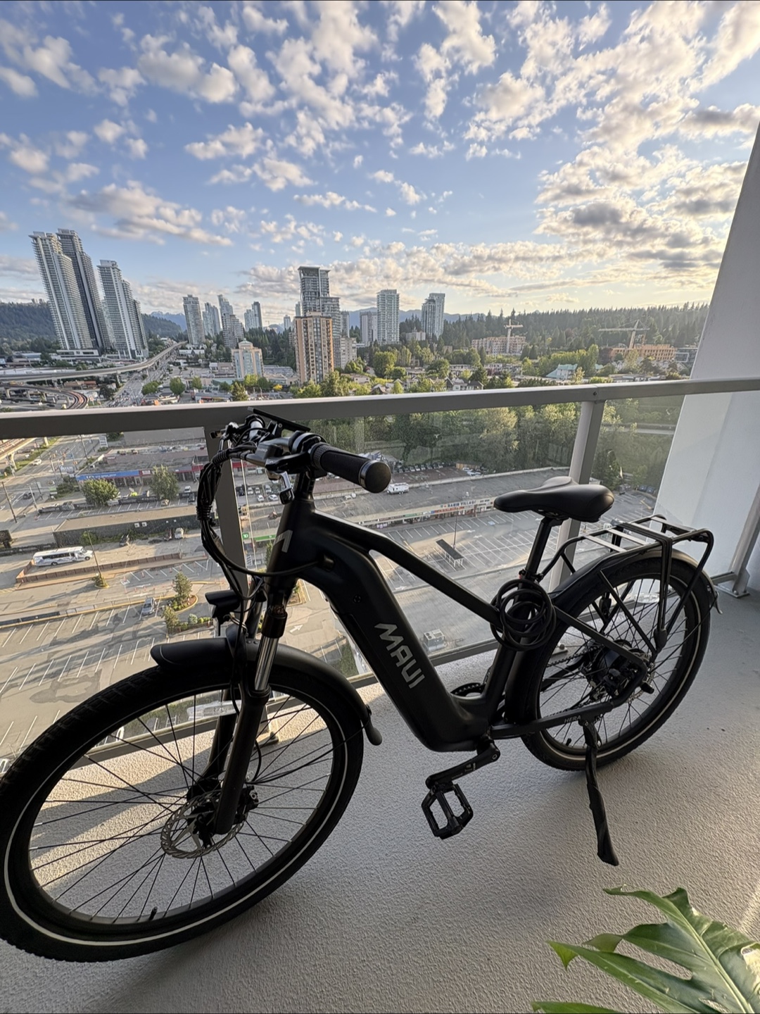 Maui Electric Bike (PROMO) - photo 2