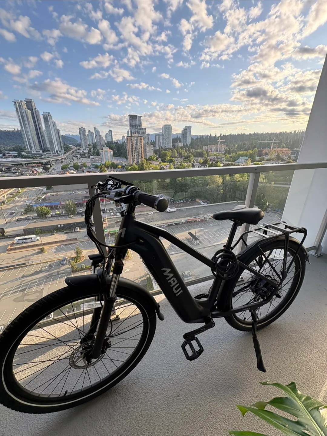 Maui Electric Bike (PROMO) image indicator(2)