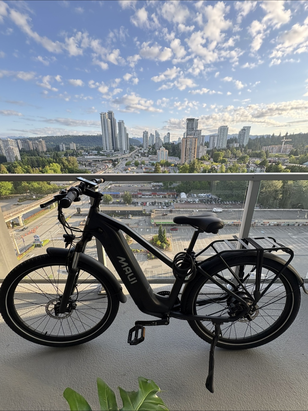 Maui Electric Bike (PROMO)