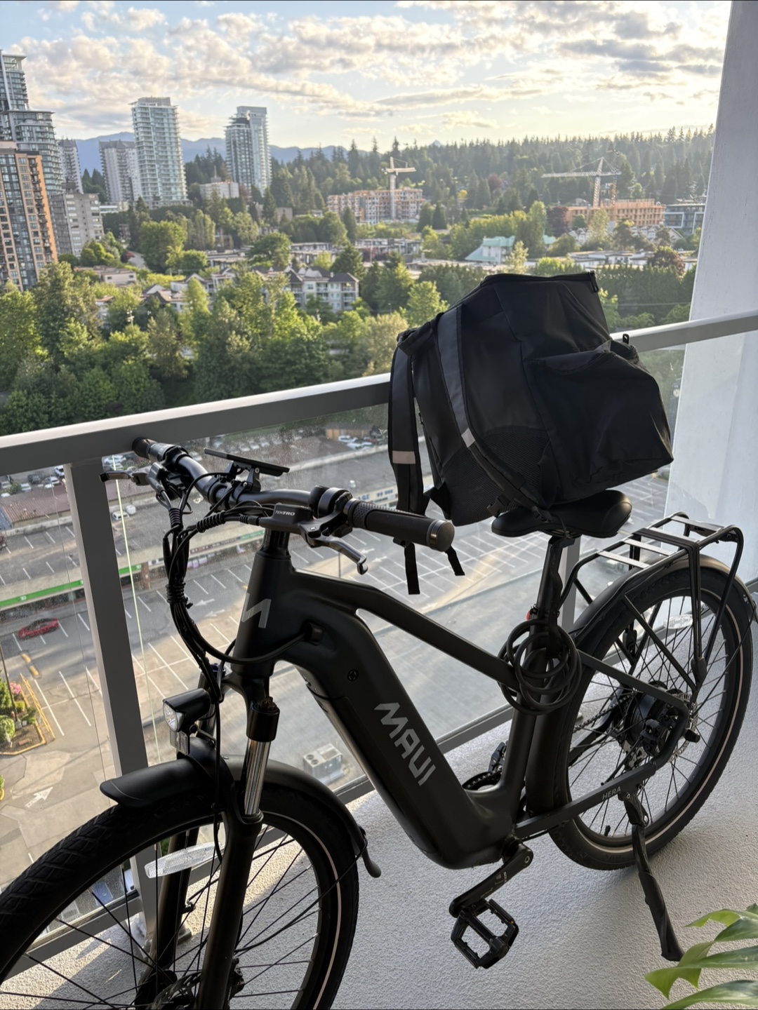 Maui Electric Bike (PROMO) - photo 5