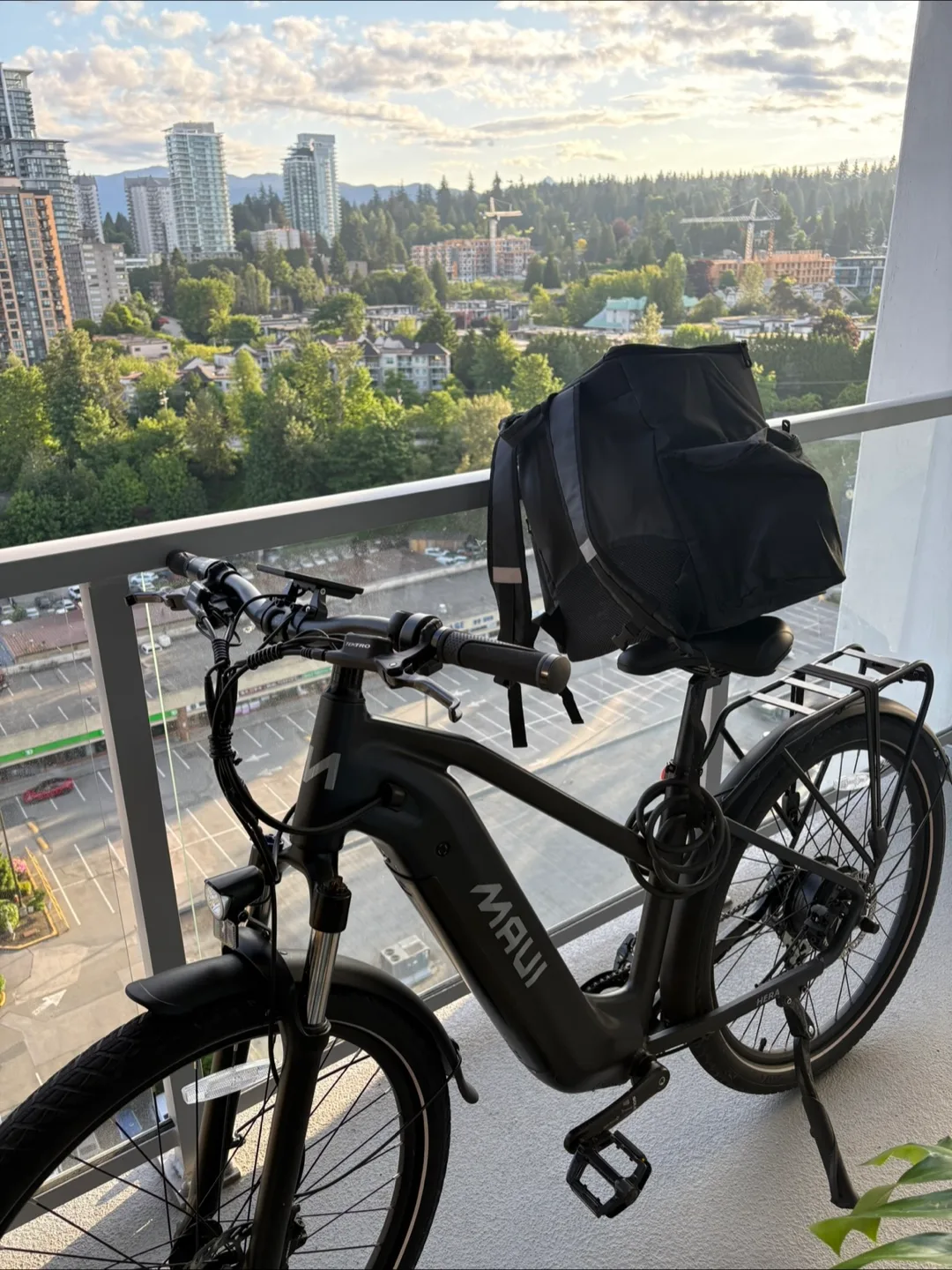 Maui Electric Bike (PROMO) image indicator(5)