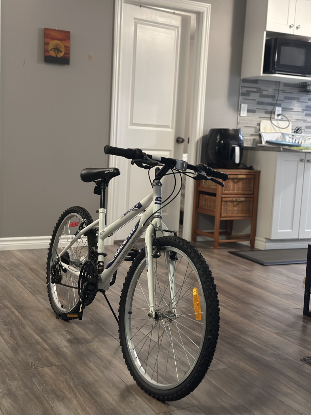 Supercycle SK1600 Girls' Mountain Bike - photo 2